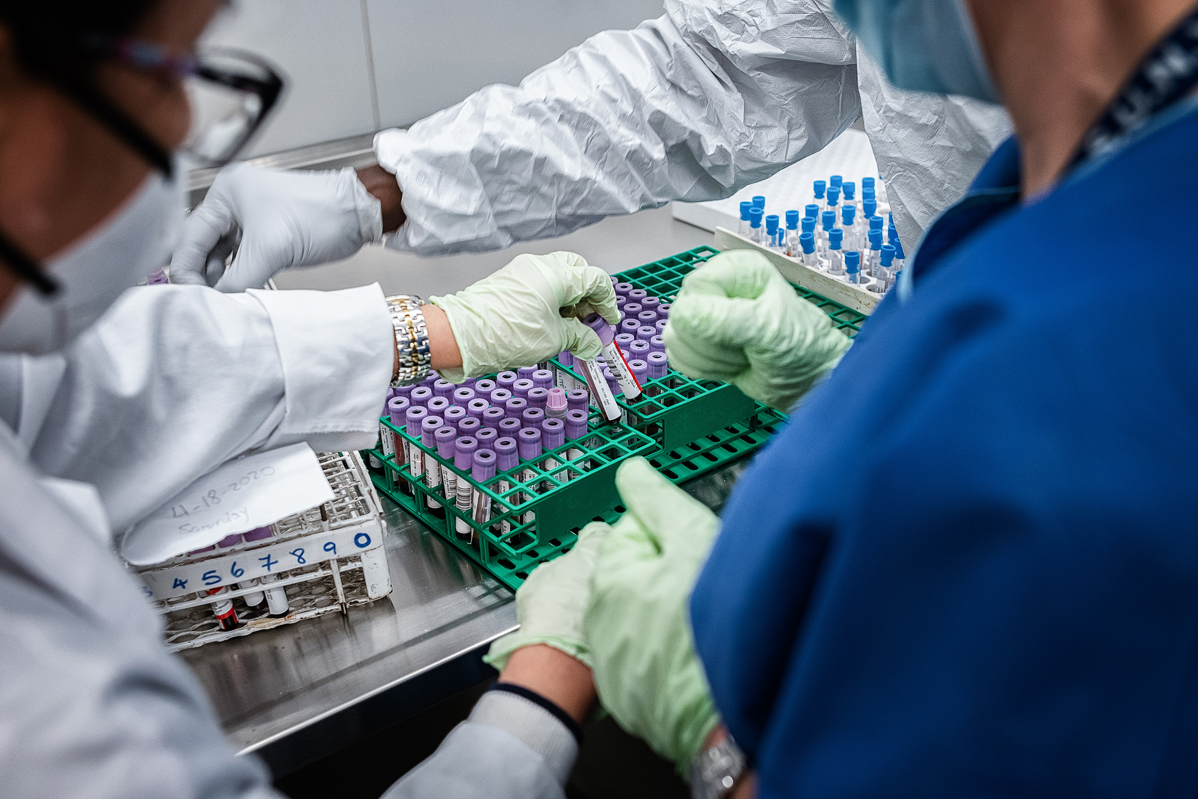Researchers at SUNY Downstate Health Sciences University prepare samples from COVID-19 patients
