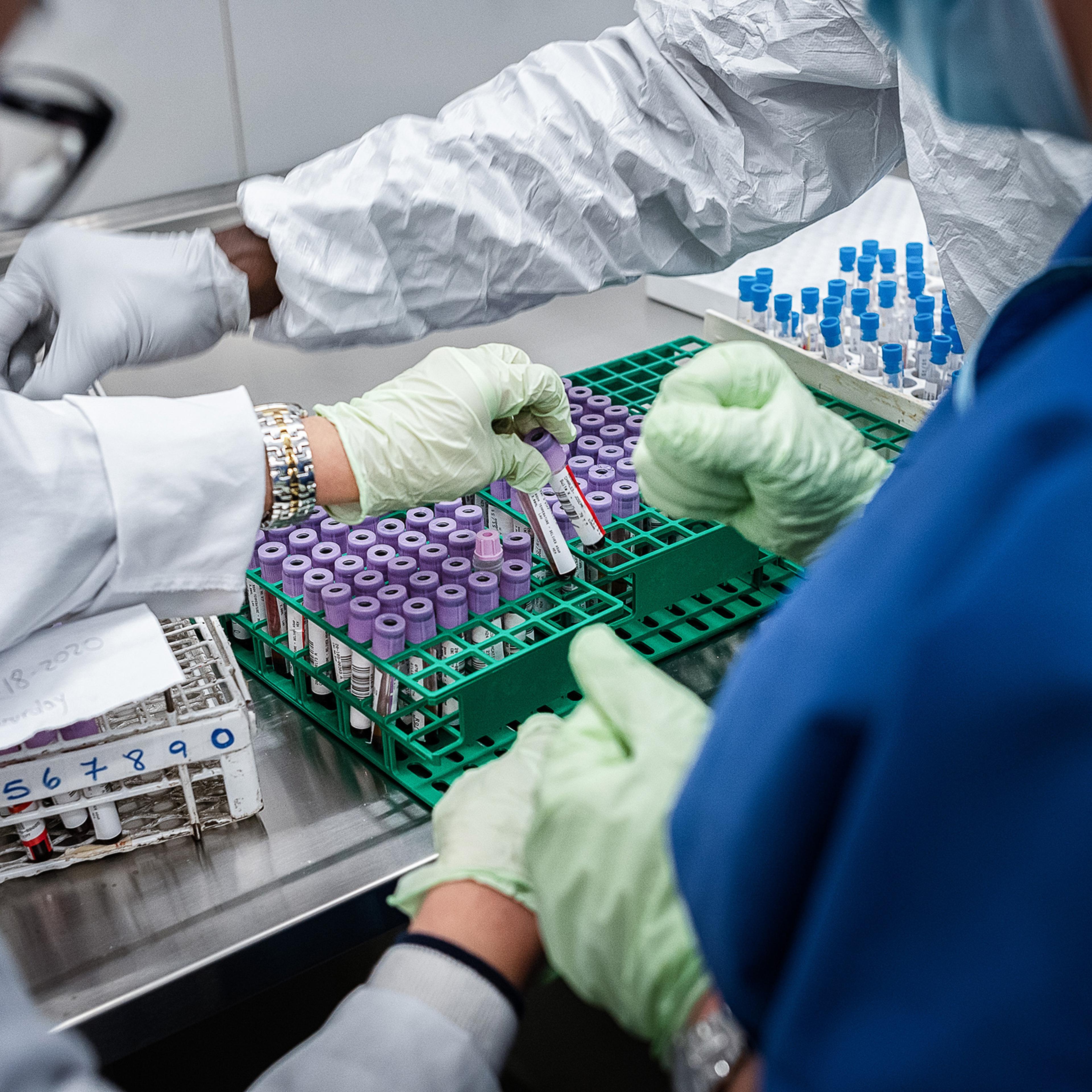 Researchers at SUNY Downstate Health Sciences University prepare samples from COVID-19 patients