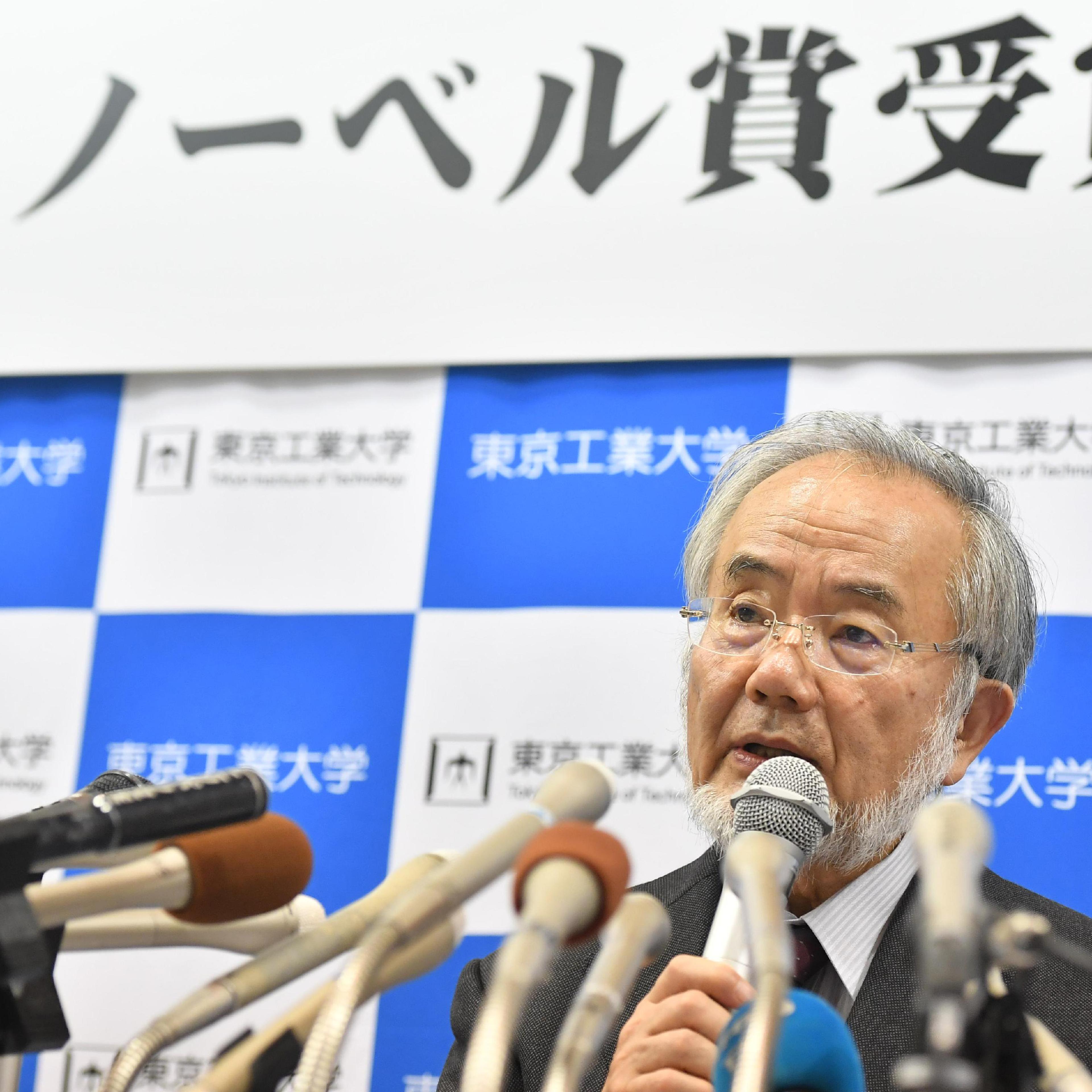 Japanese scientist Ohsumi wins Nobel Prize in Physiology or Medicine
