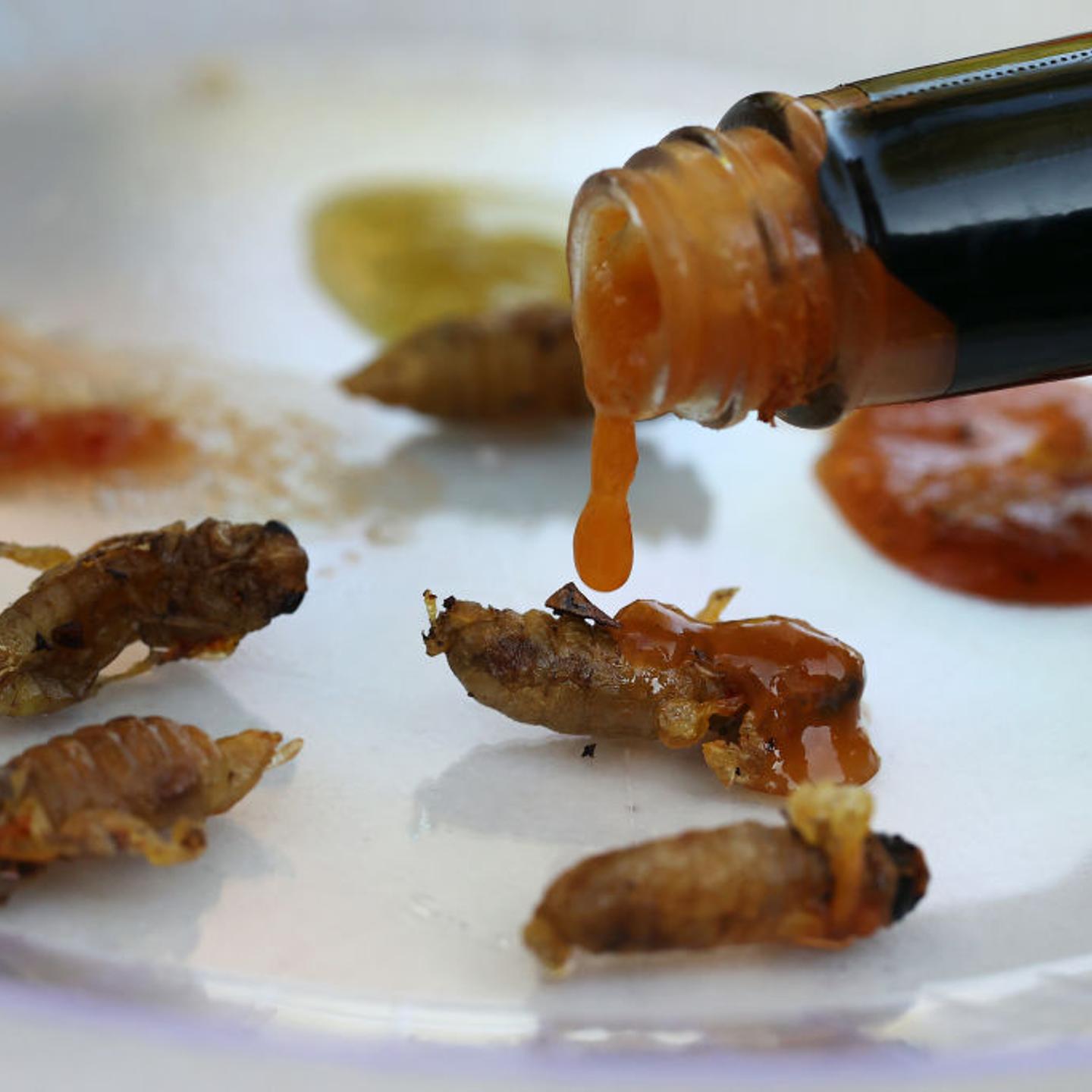 Brood X Cicadas Cooked