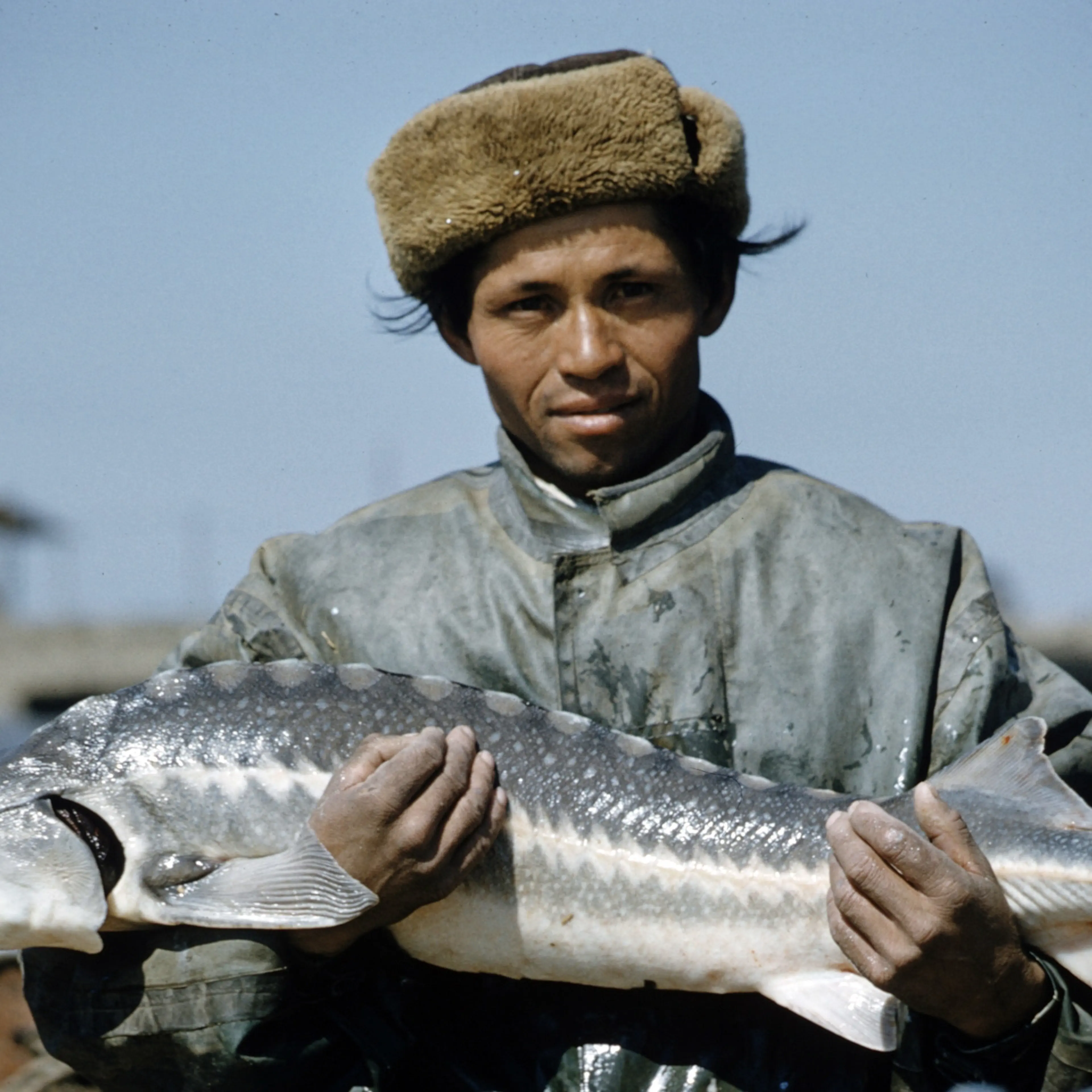 Sturgeon and Russian caviar 1960 photo essay by Carl Mydans.