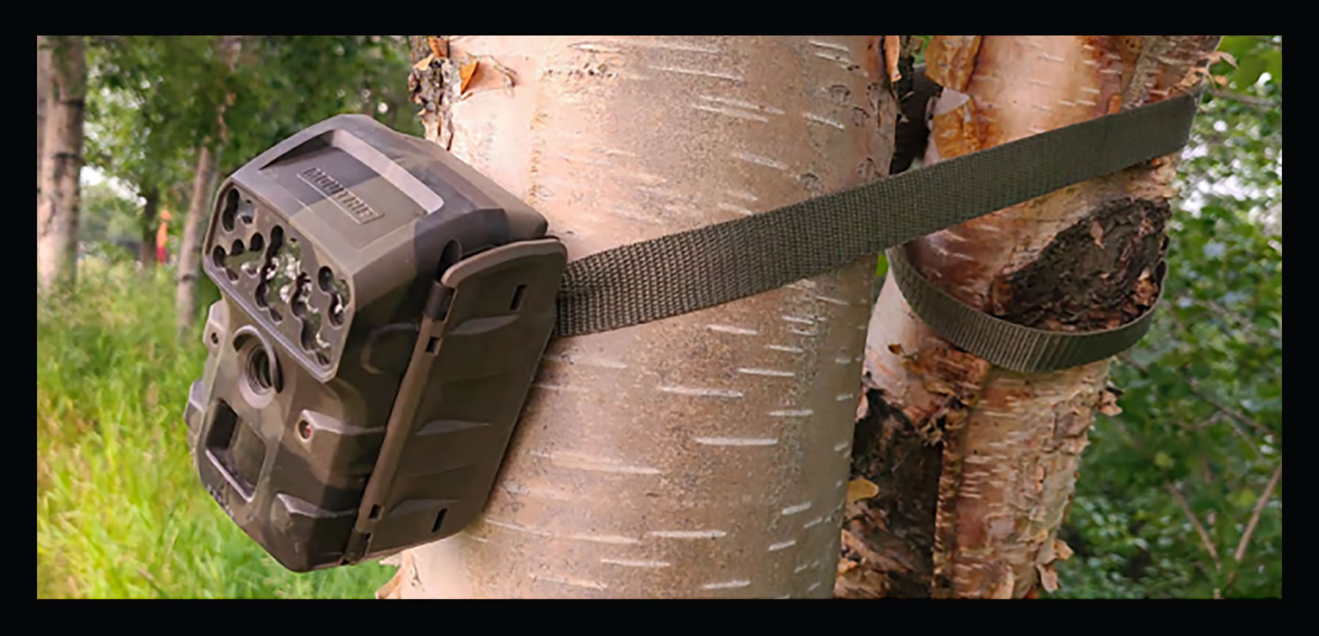 A game camera mounted on a tree outside the home of Assemblymember Christopher Constant in Anchorage, Alaska.