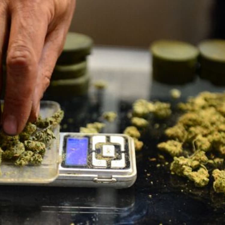 US-HOLIDAY-INDEPENDENCE DAY-MARIJUANA-MARKET