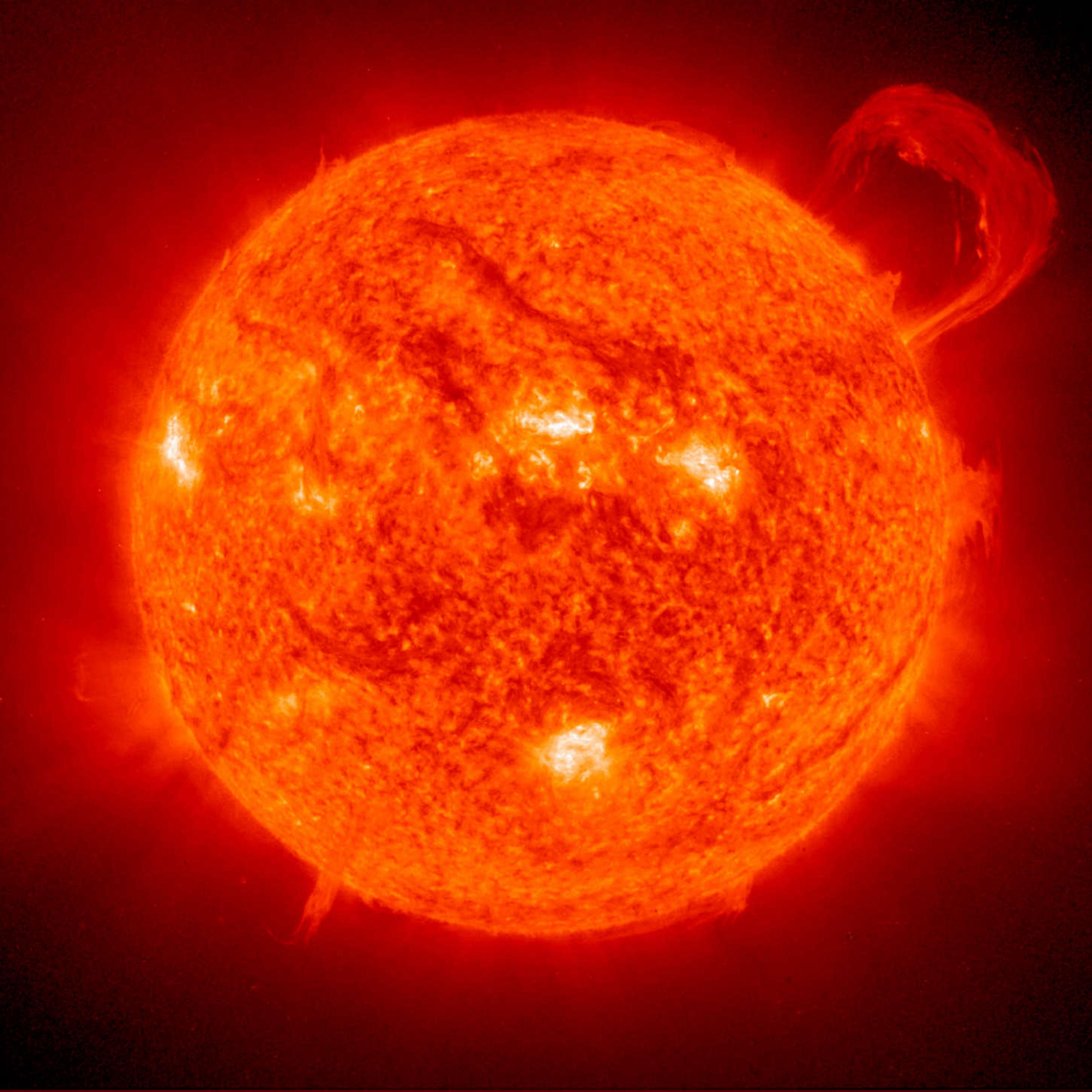 The Sun has a sibling star