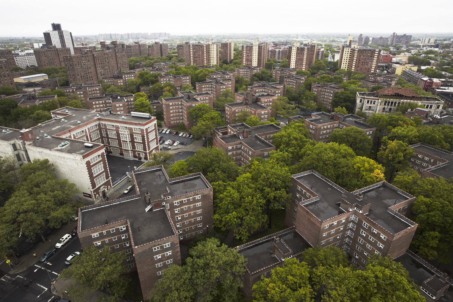 Brownsville has the highest concentration of public housing in the nation. Within one square mile, the community comprises more than 873 stories in over 100 different buildings. 