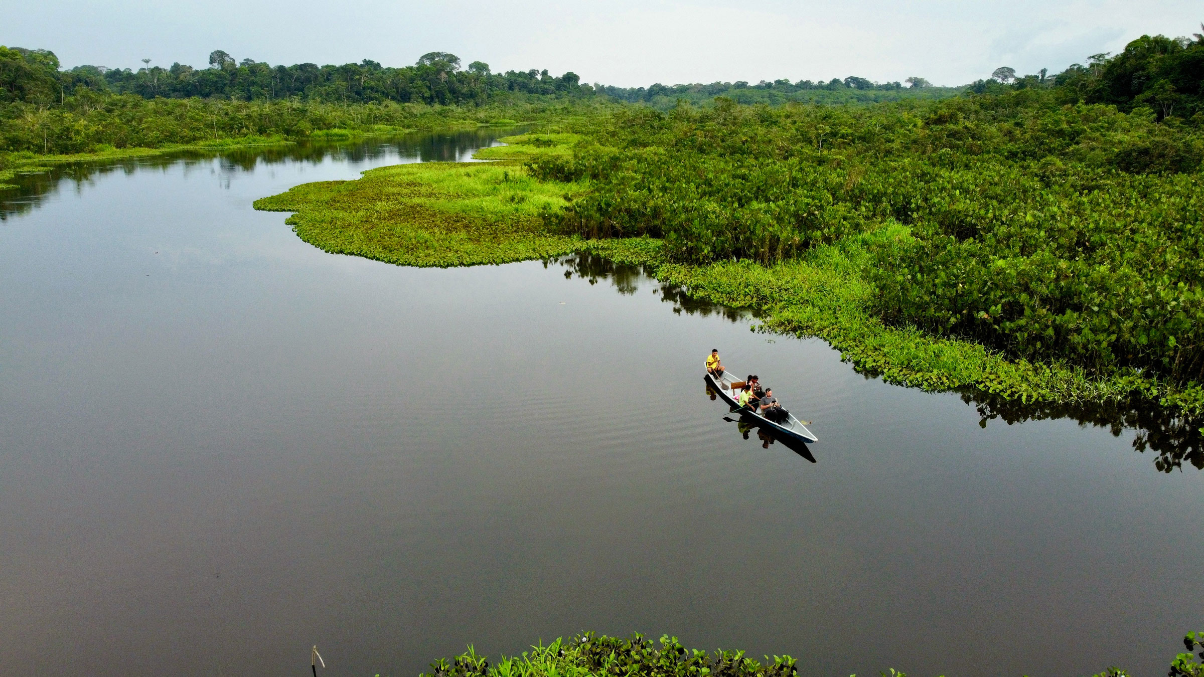 Sinchi Wayra is located on the Rio Napo in the upper Amazon