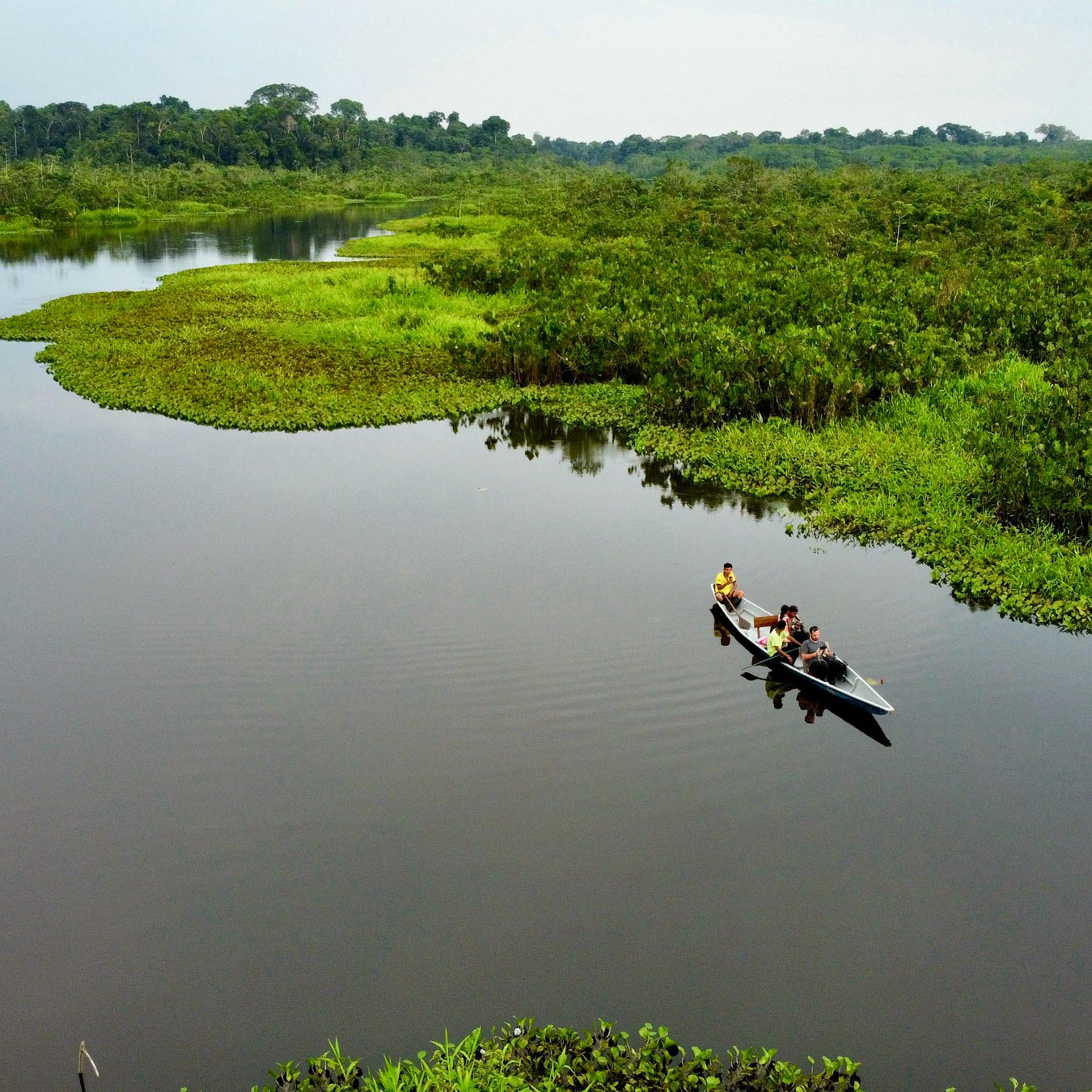 Sinchi Wayra is located on the Rio Napo in the upper Amazon