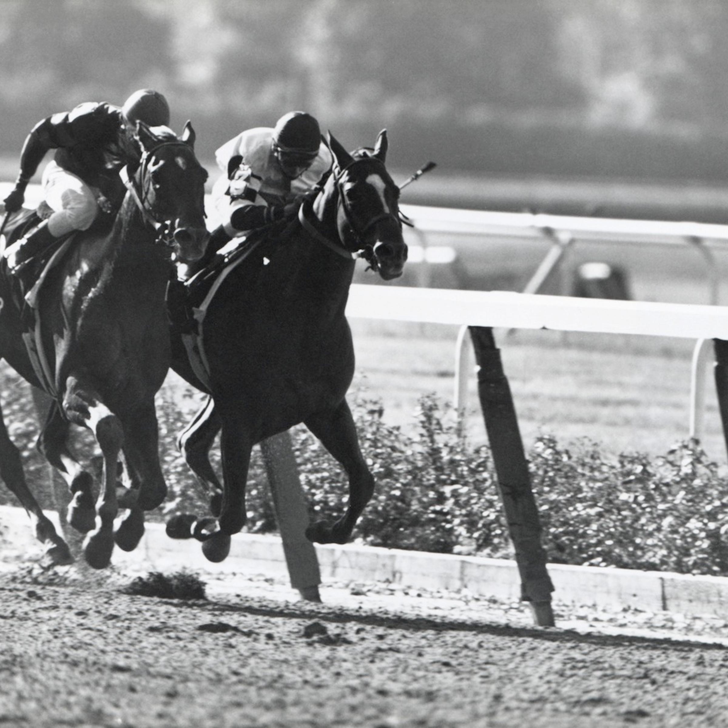 1978 Belmont Stakes