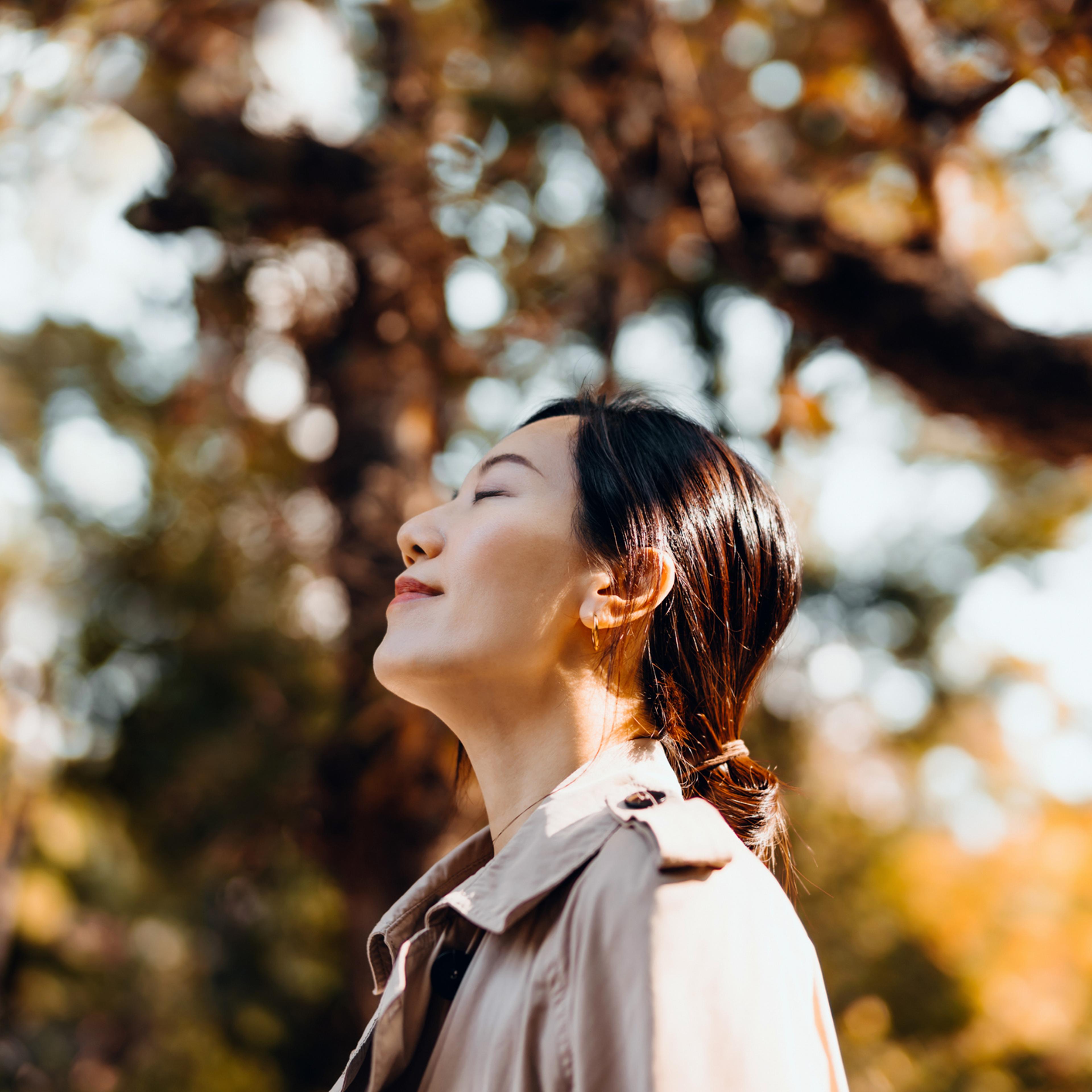 Portrait of young Asian woman having a walk in the park, enjoying the warmth of sunlight on a beautiful Autumn day outdoors and breathing fresh air with eyes closed. Relaxing in the nature under maple trees