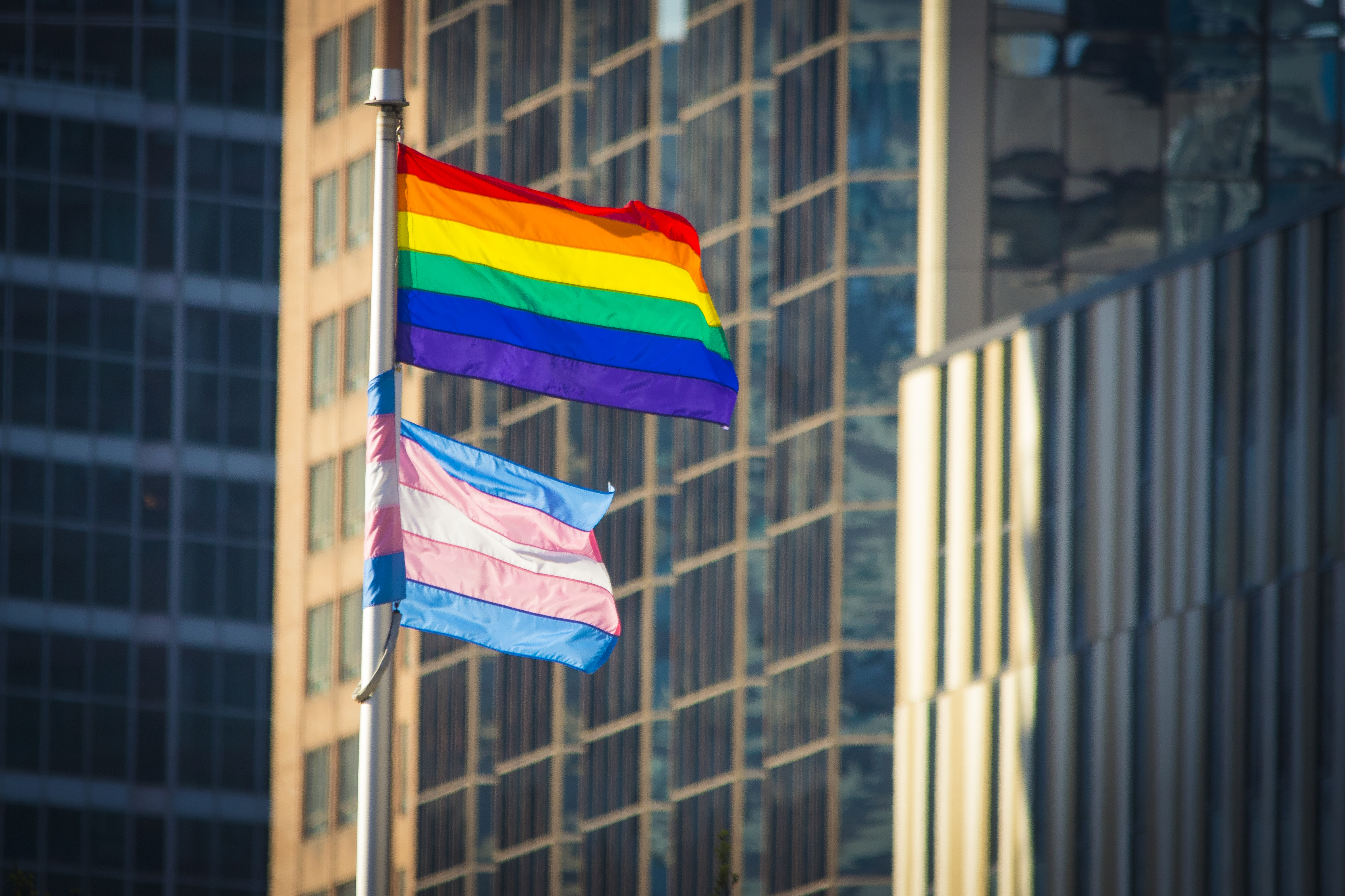 Pride Flag and Trans Flag