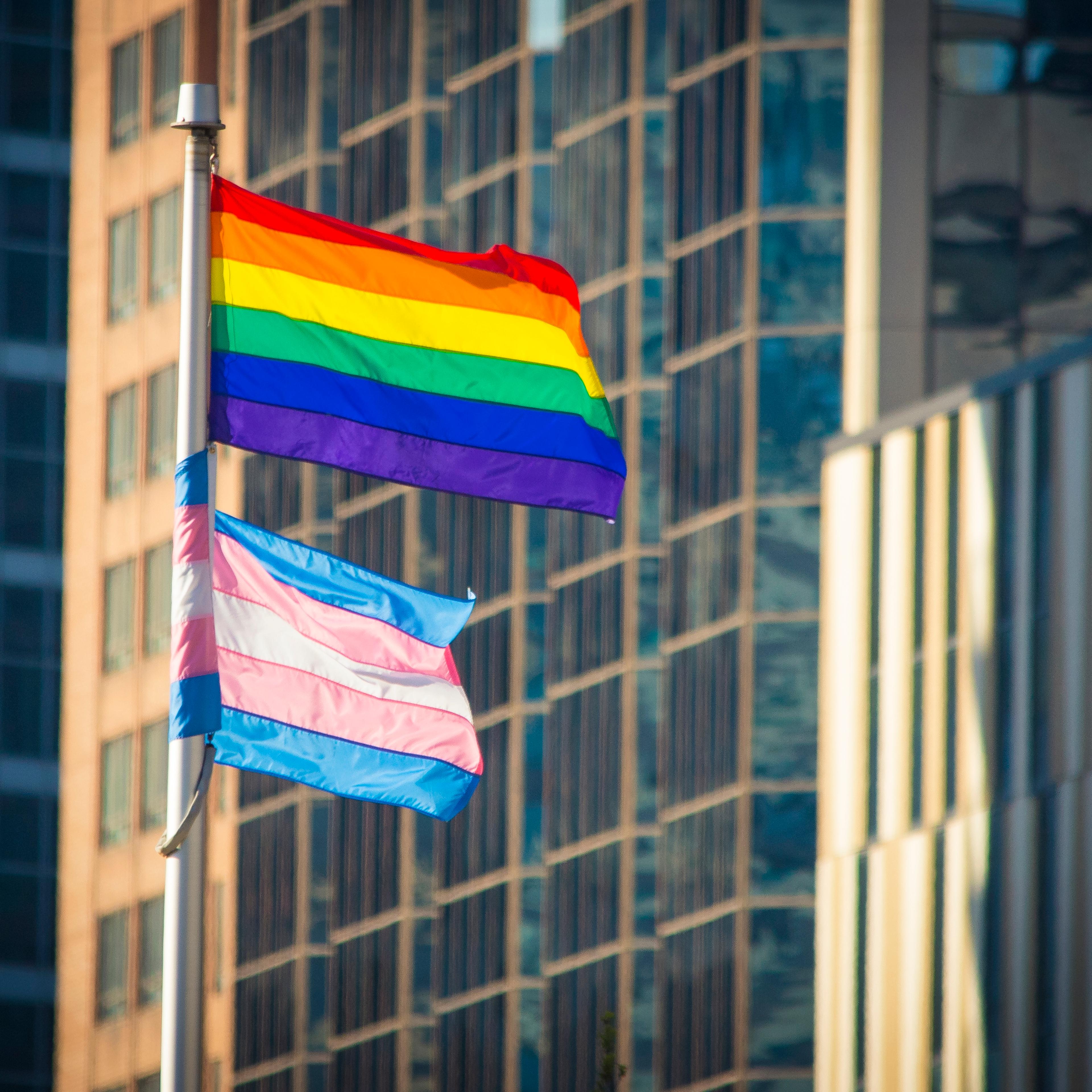 Pride Flag and Trans Flag