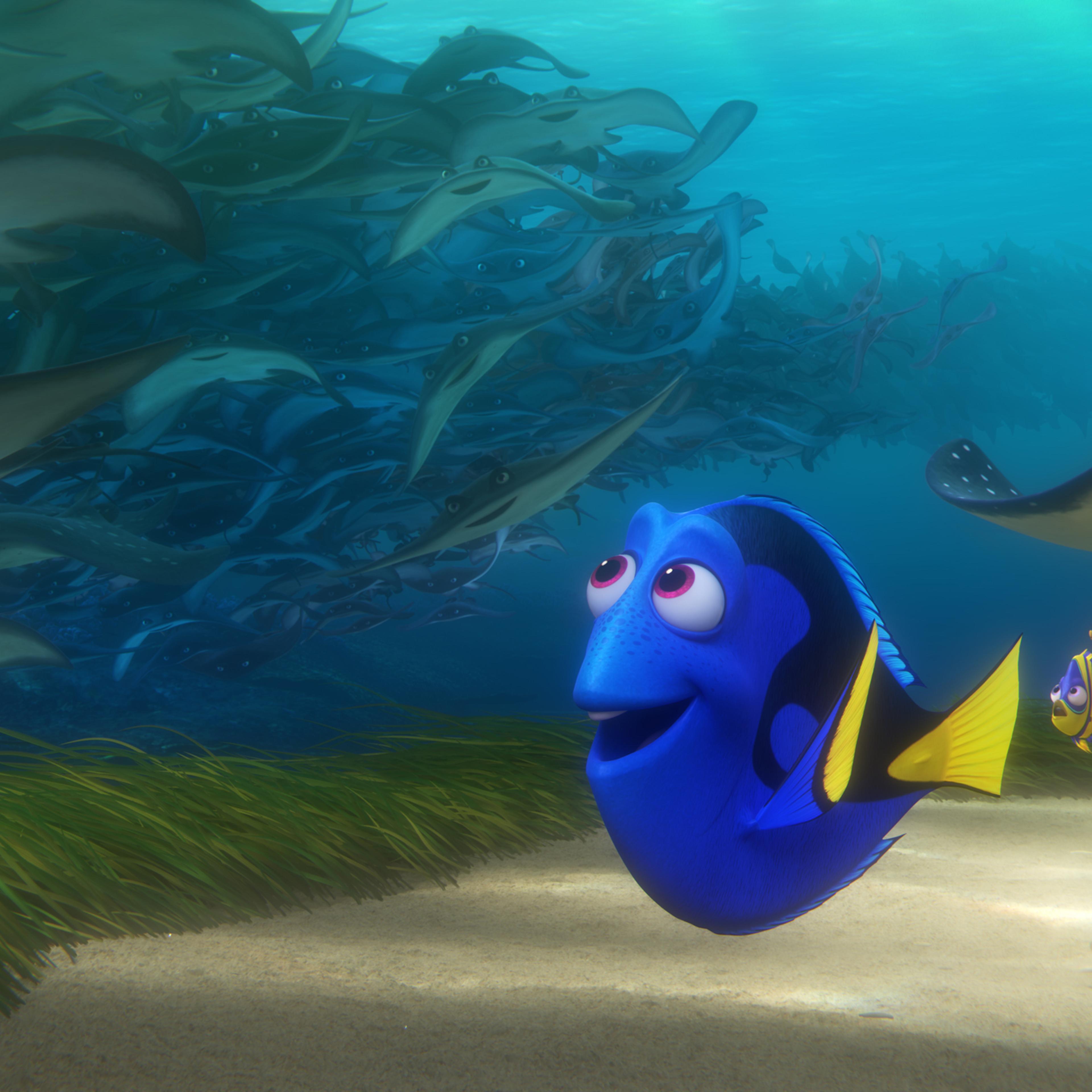 In "Finding Dory," memories of her past are sparked for forgetful blue tang Dory when a stingray migration whizzes by her.