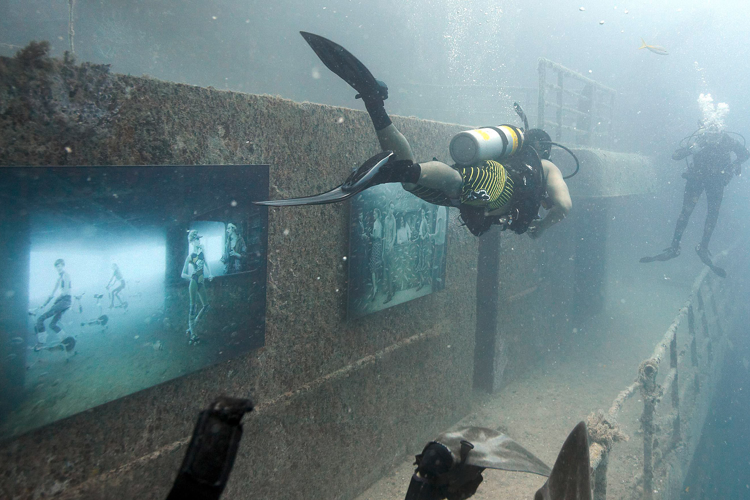 Divers pass photographs by Andreas Franke along the deck of Gen. Hoyt S. Vandenberg artificial reef, August 4, 2011.