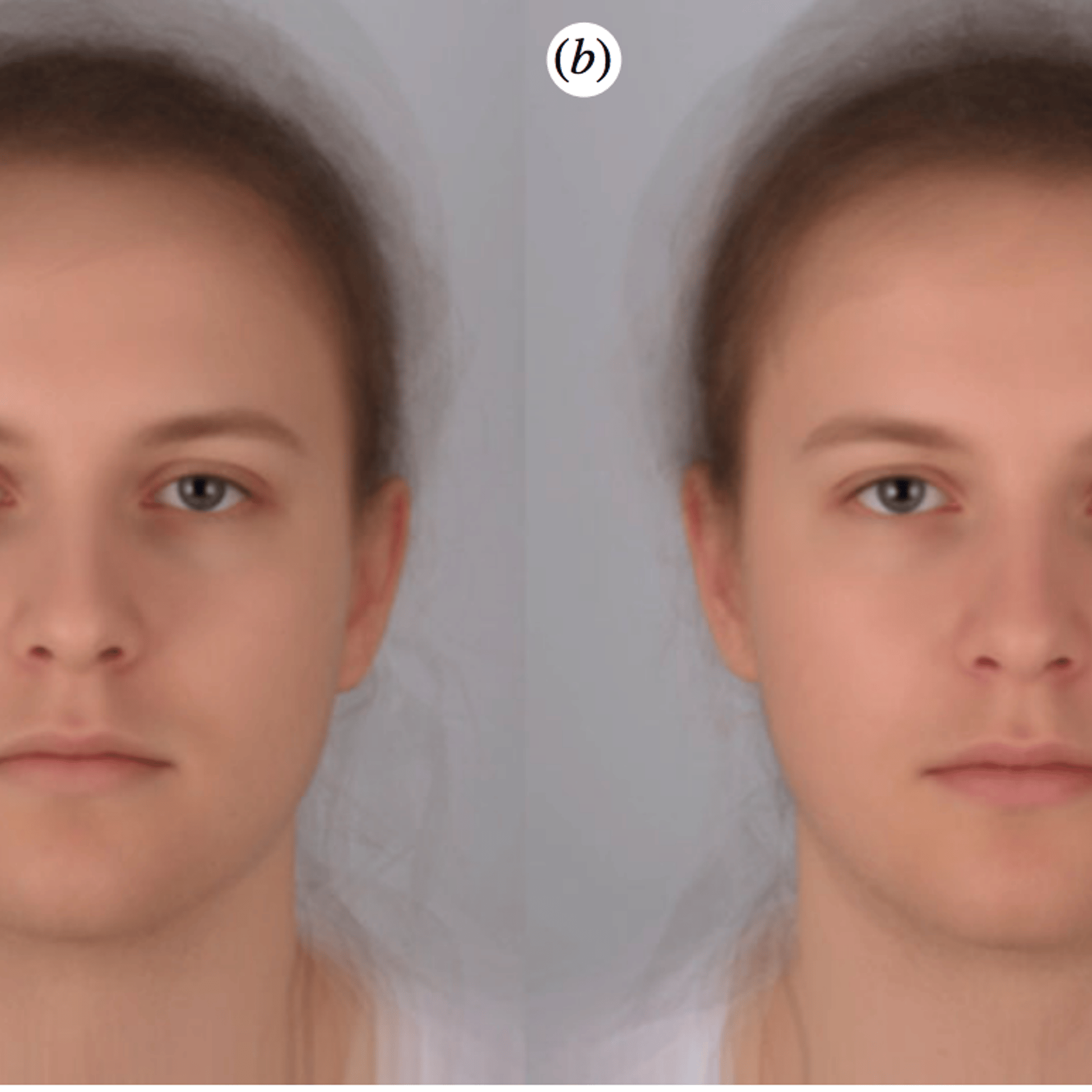The study includes this composite rendering of photographs taken while participants felt sick (a) and healthy (b).