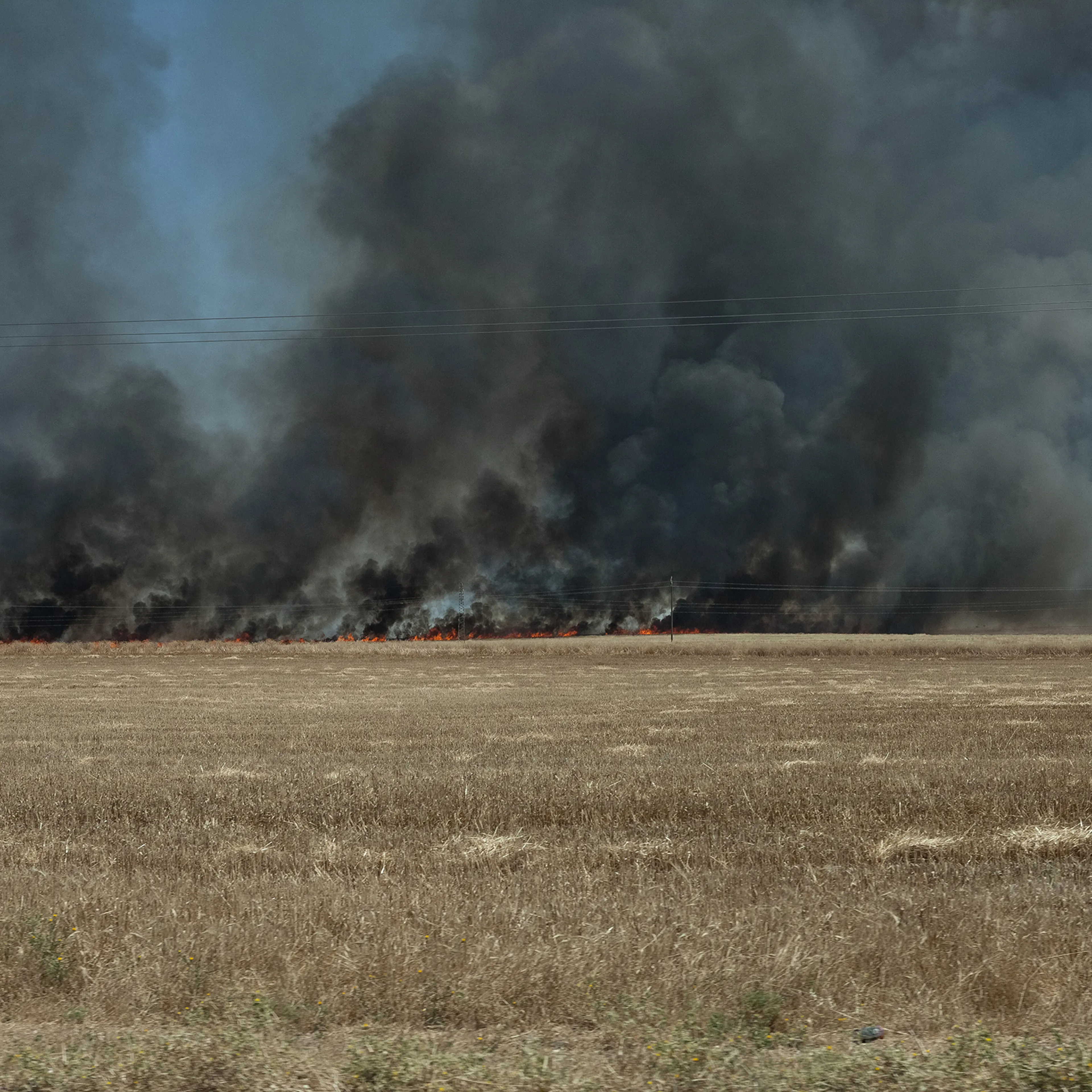 A field burns on the road between Al-Maabadah and Qamishli in June 2019. The dominating rumor among the Kurdish population was the fires were set by ISIS sleeper cells.