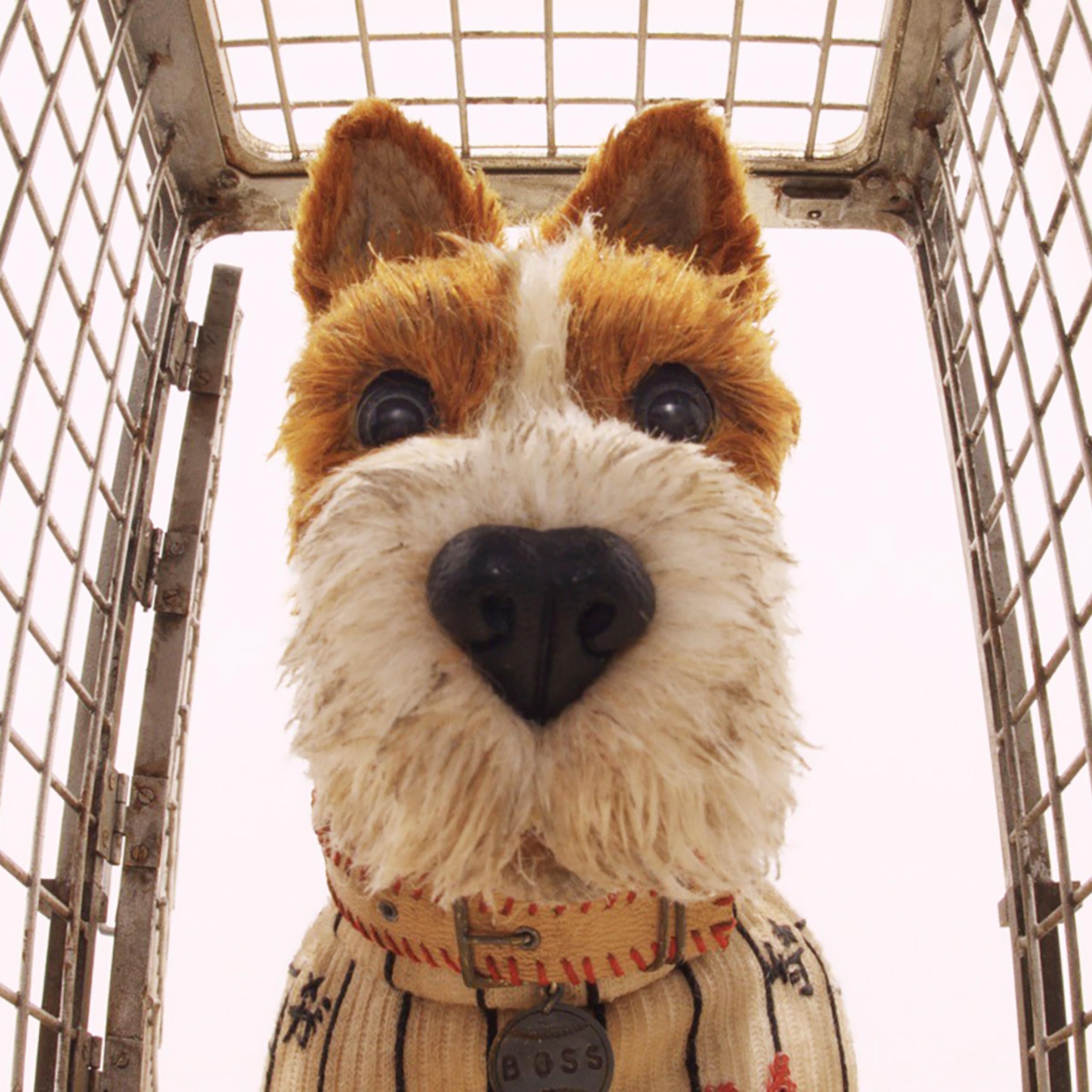 isle of dogs wes anderson new movie