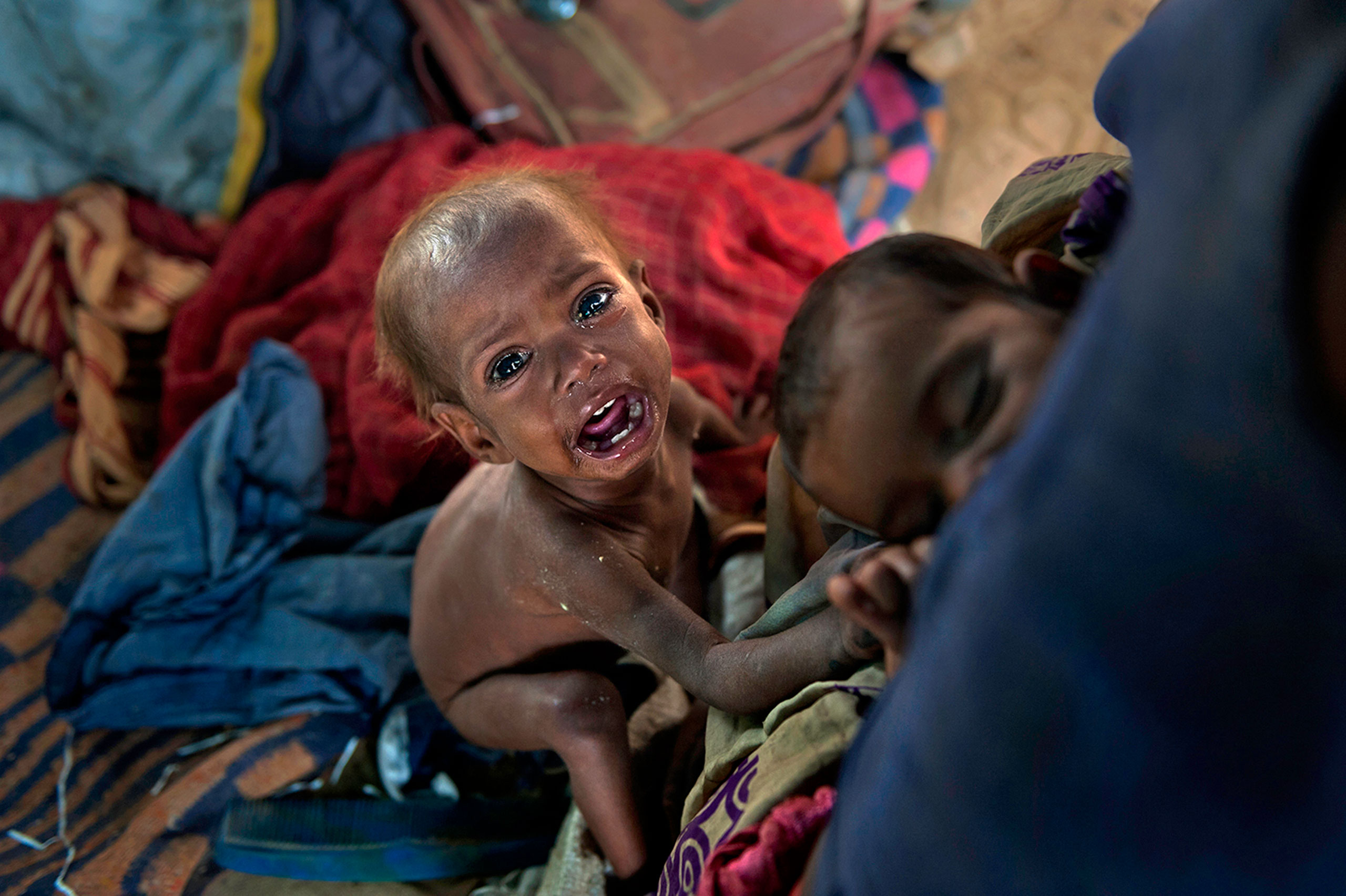 Living on a Dollar a Day:  The Lives and Faces of the World's Poor