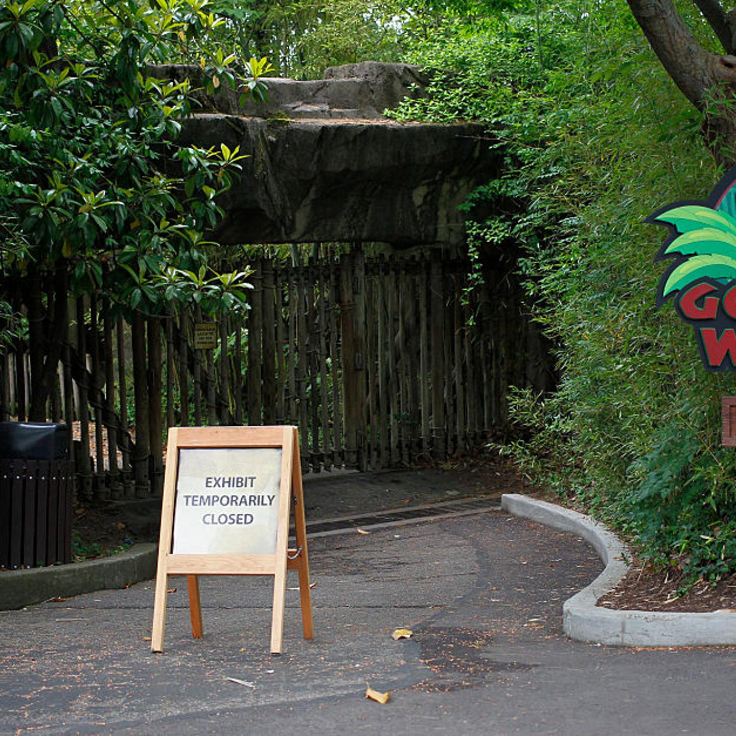 Visitors walk past the main entrance to the Cincinnati Zoo's Gorilla World exhibit days after a boy fell into the moat and officials were forced to kill Harambe, June 2, 2016 in Cincinnati, Ohio.