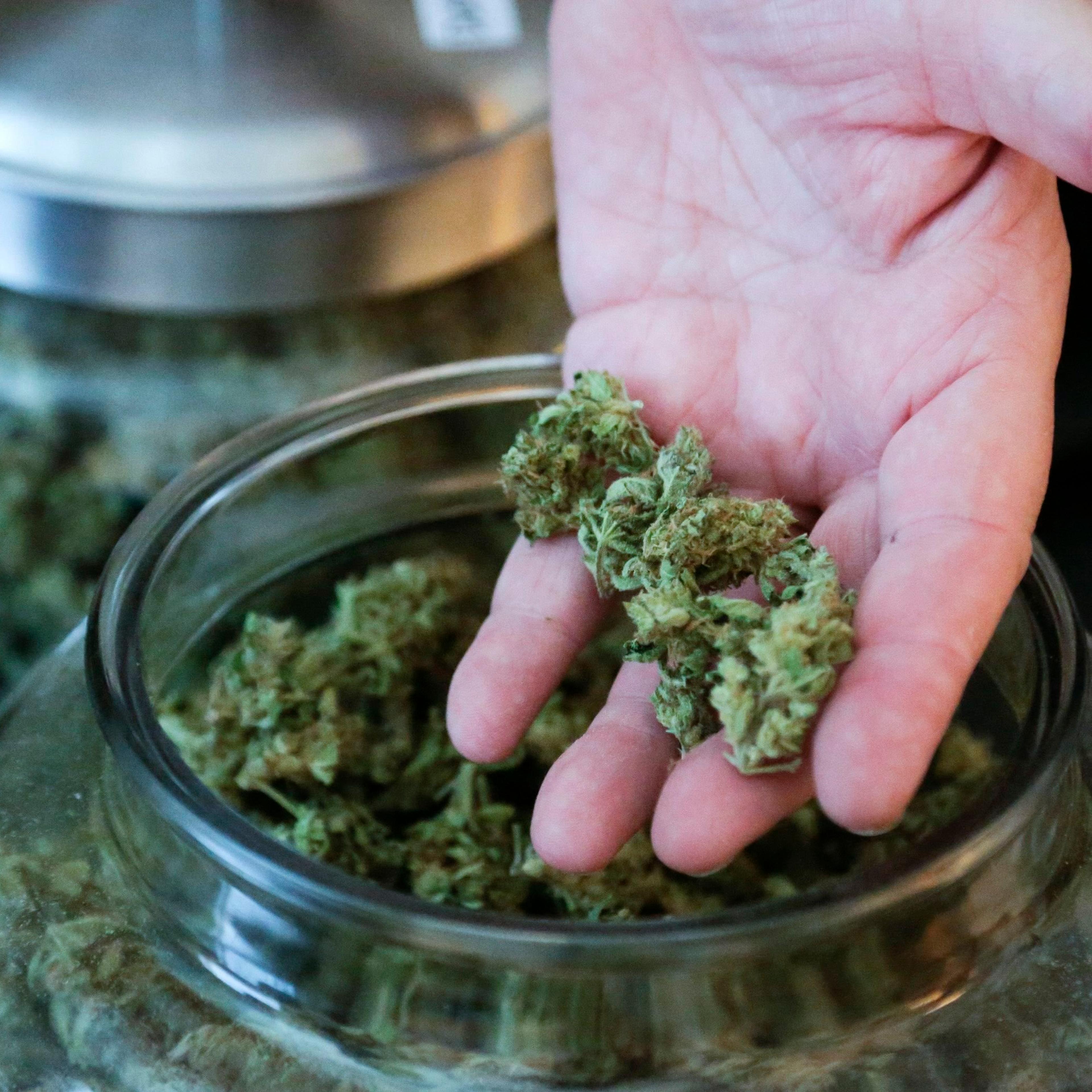Pot Marijuana Weed