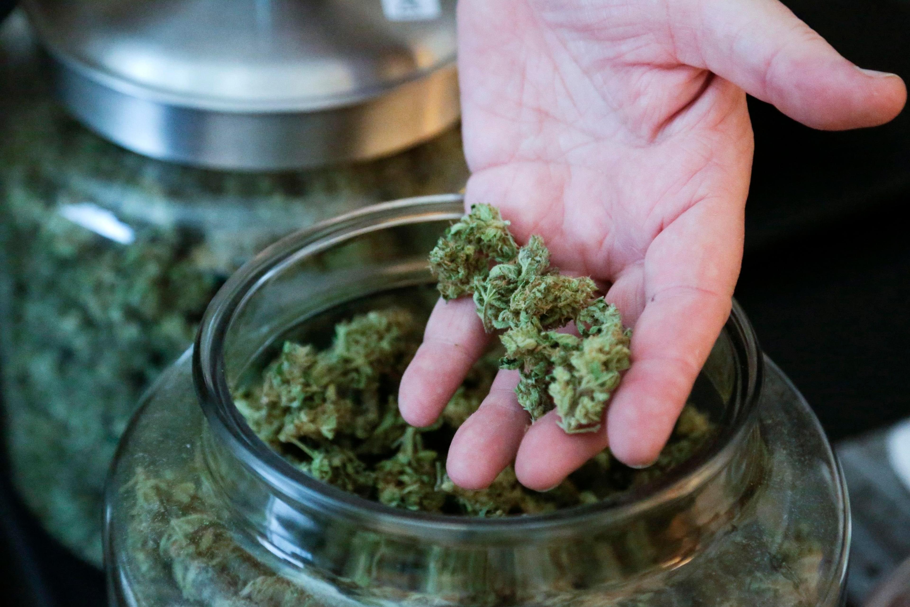 Pot Marijuana Weed