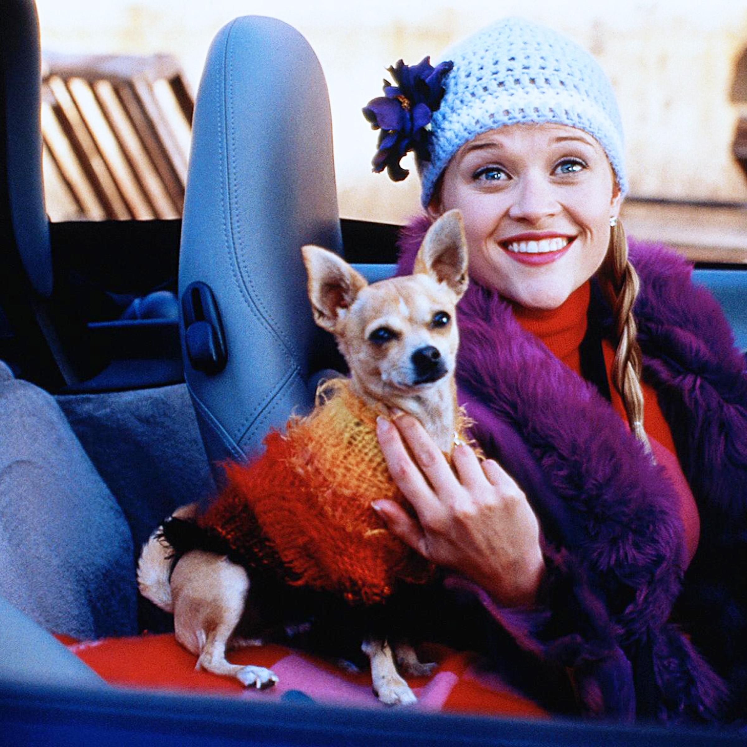 Movie: Legally Blonde, 2001; Play: Legally Blonde: The Musical, 2007.