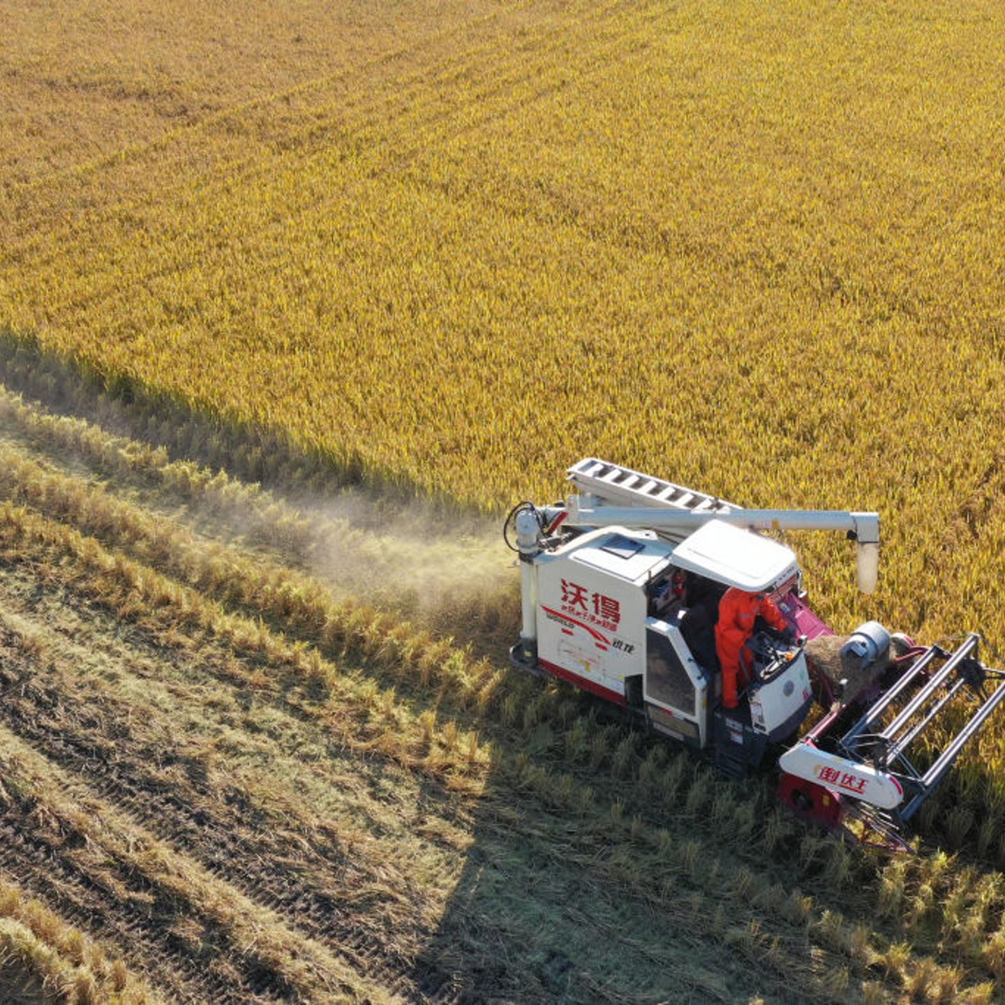 China Jiangsu Agriculture
