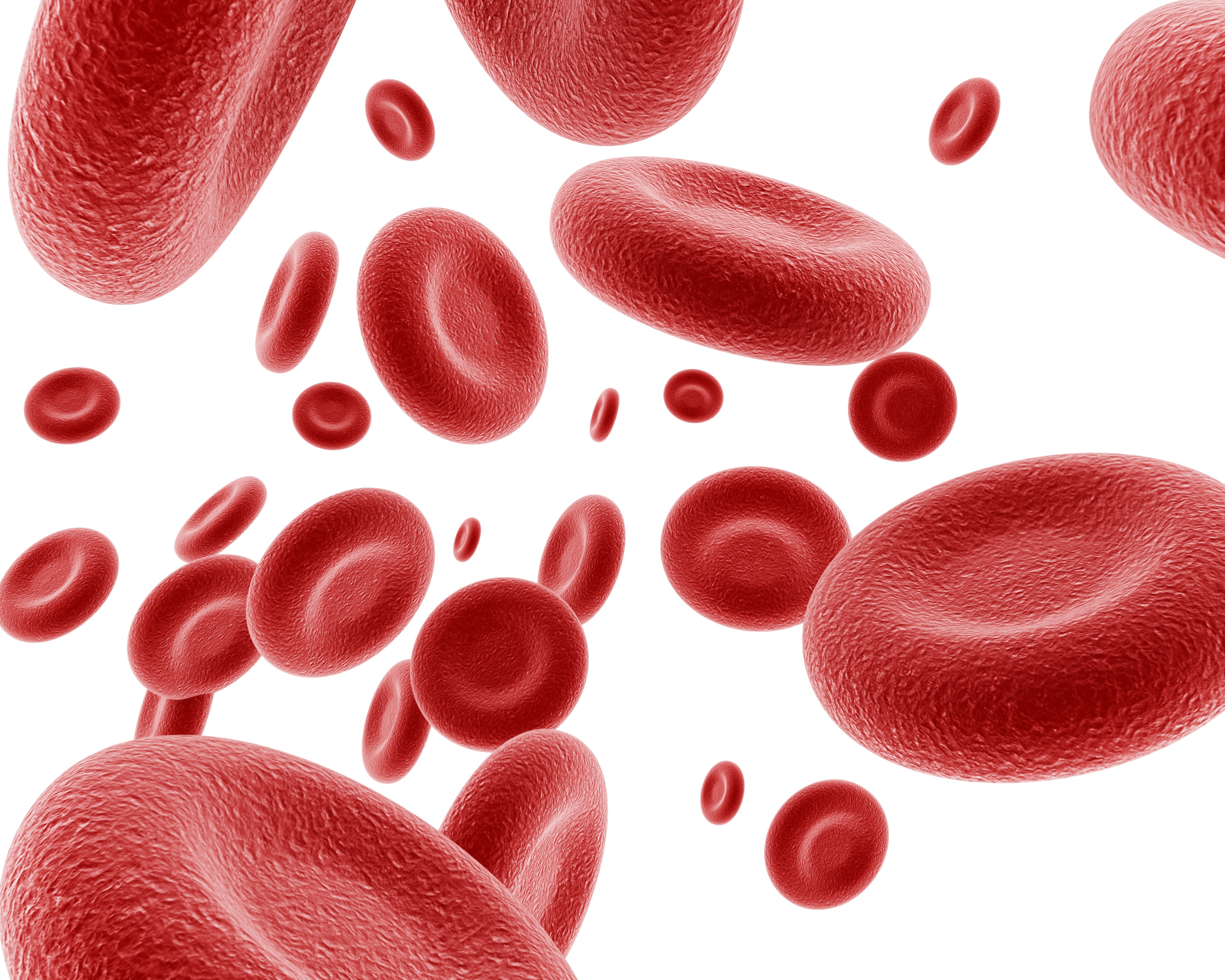 Red blood cells