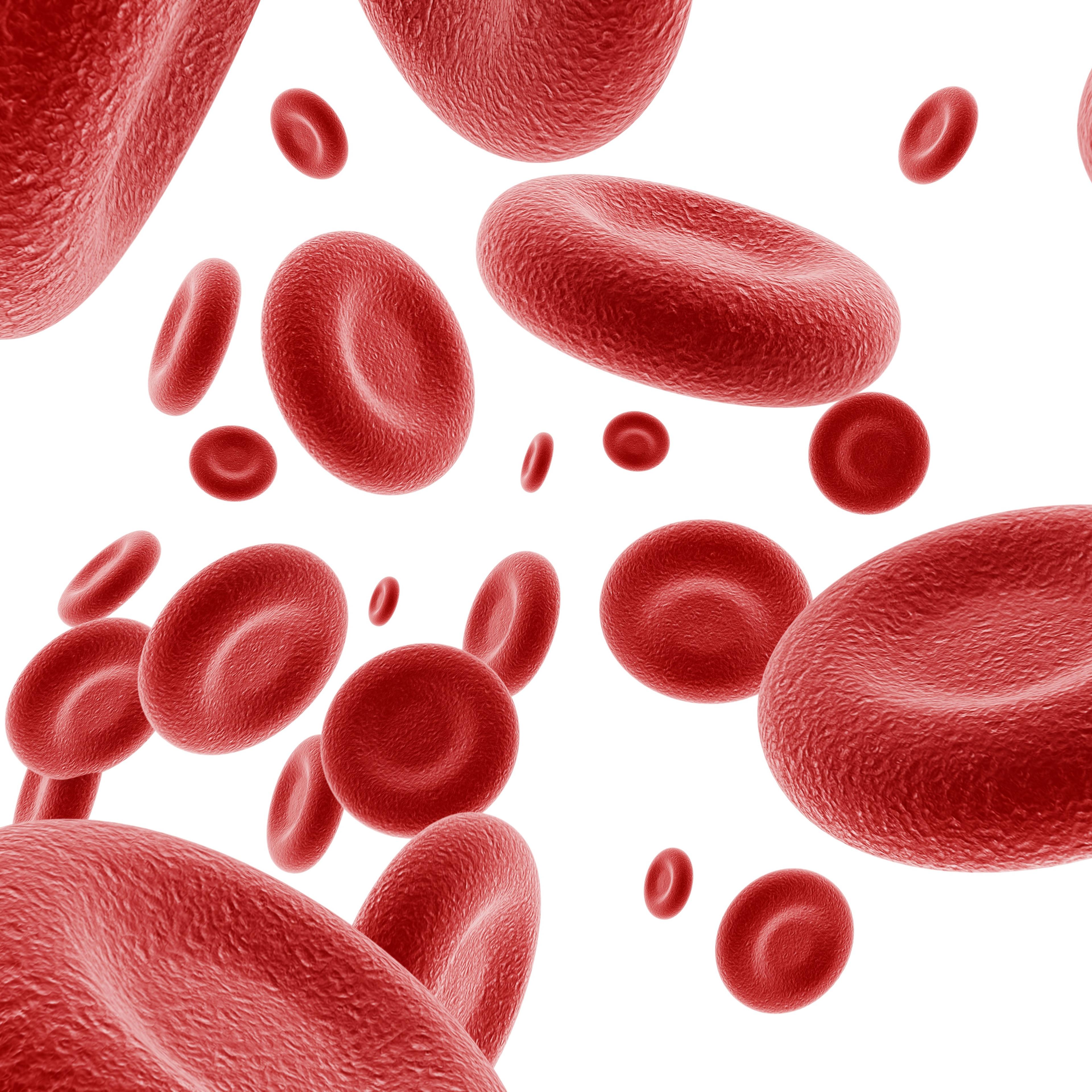 Red blood cells