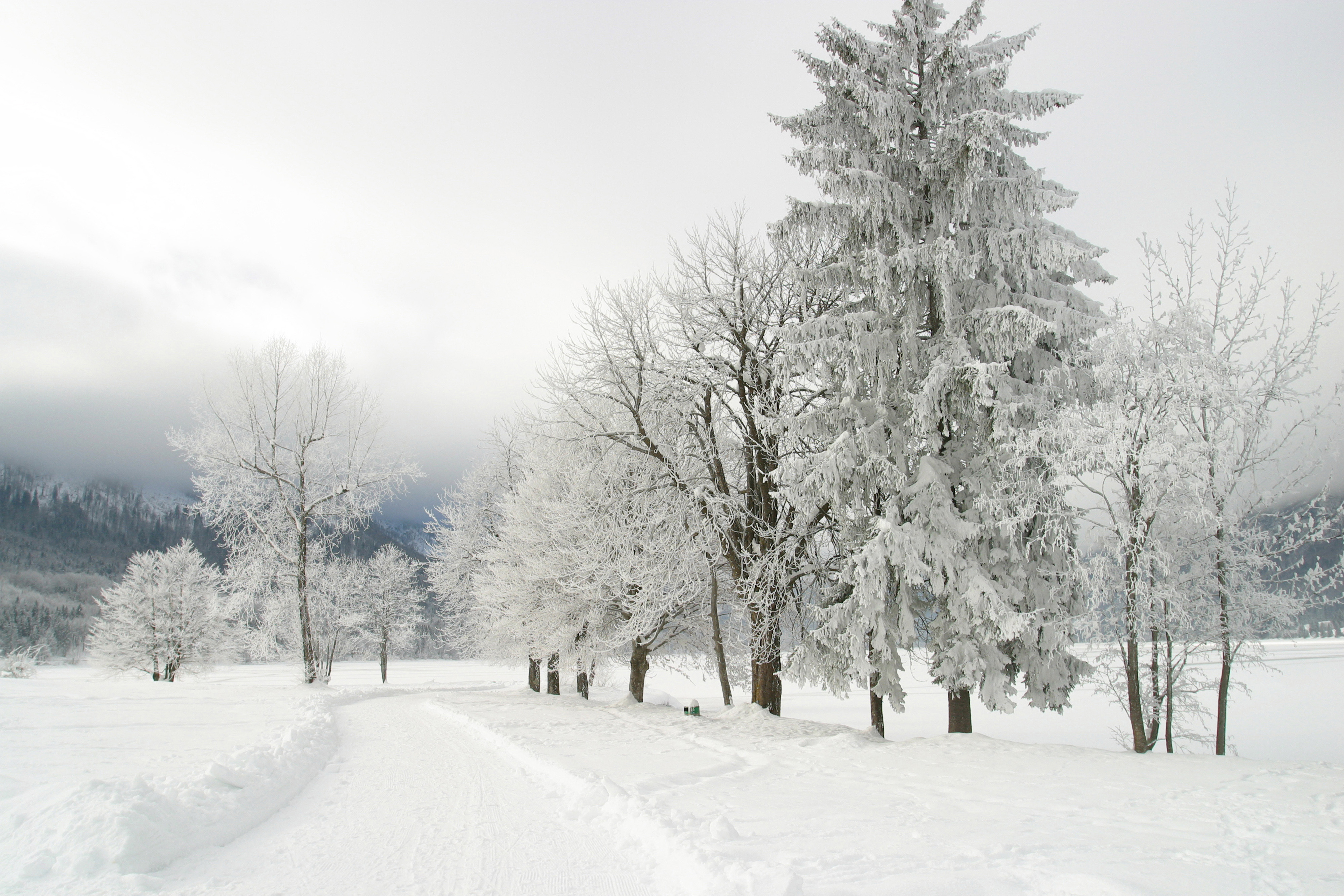 winter