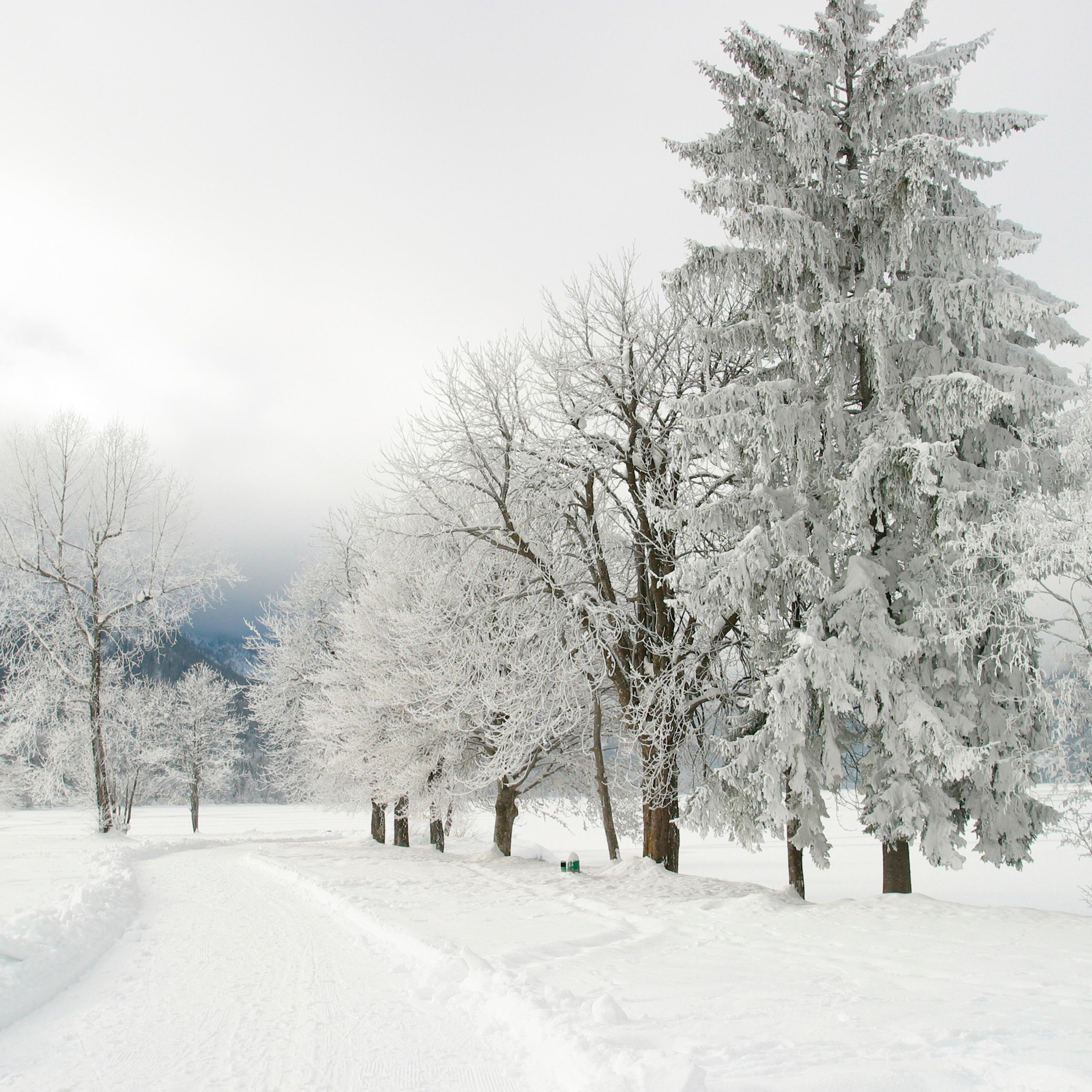 winter