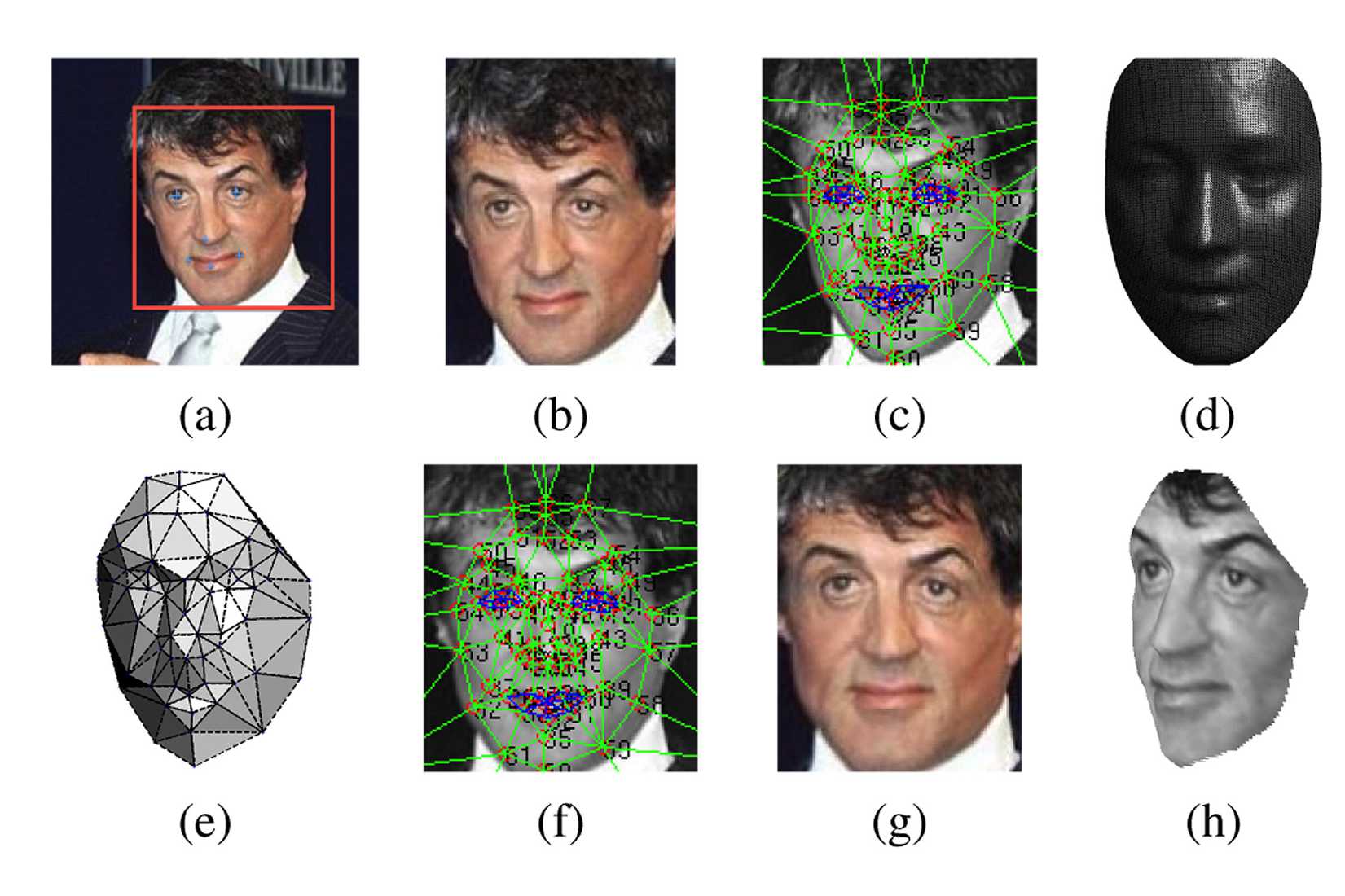In a paper on DeepFace, the developers show an example of the application at work to recognize the actor Sylvester Stallone.