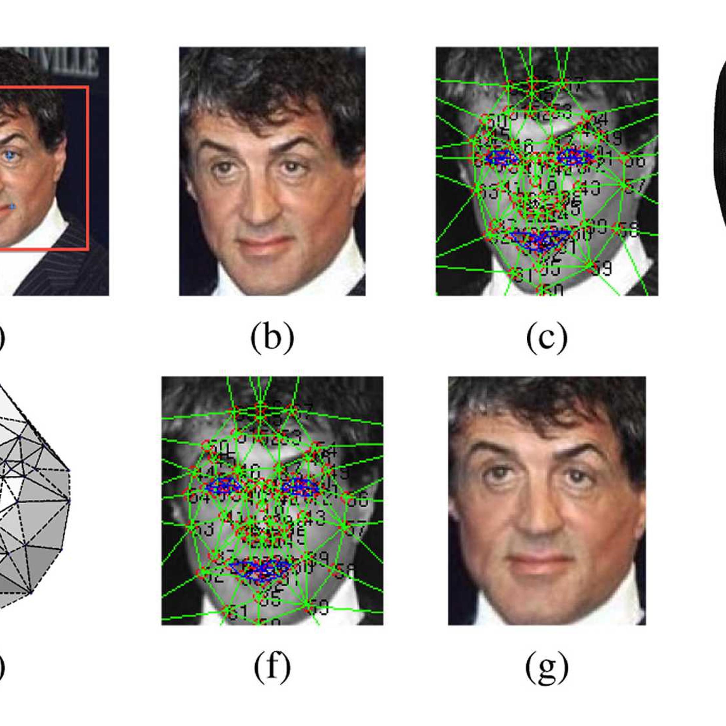 In a paper on DeepFace, the developers show an example of the application at work to recognize the actor Sylvester Stallone.