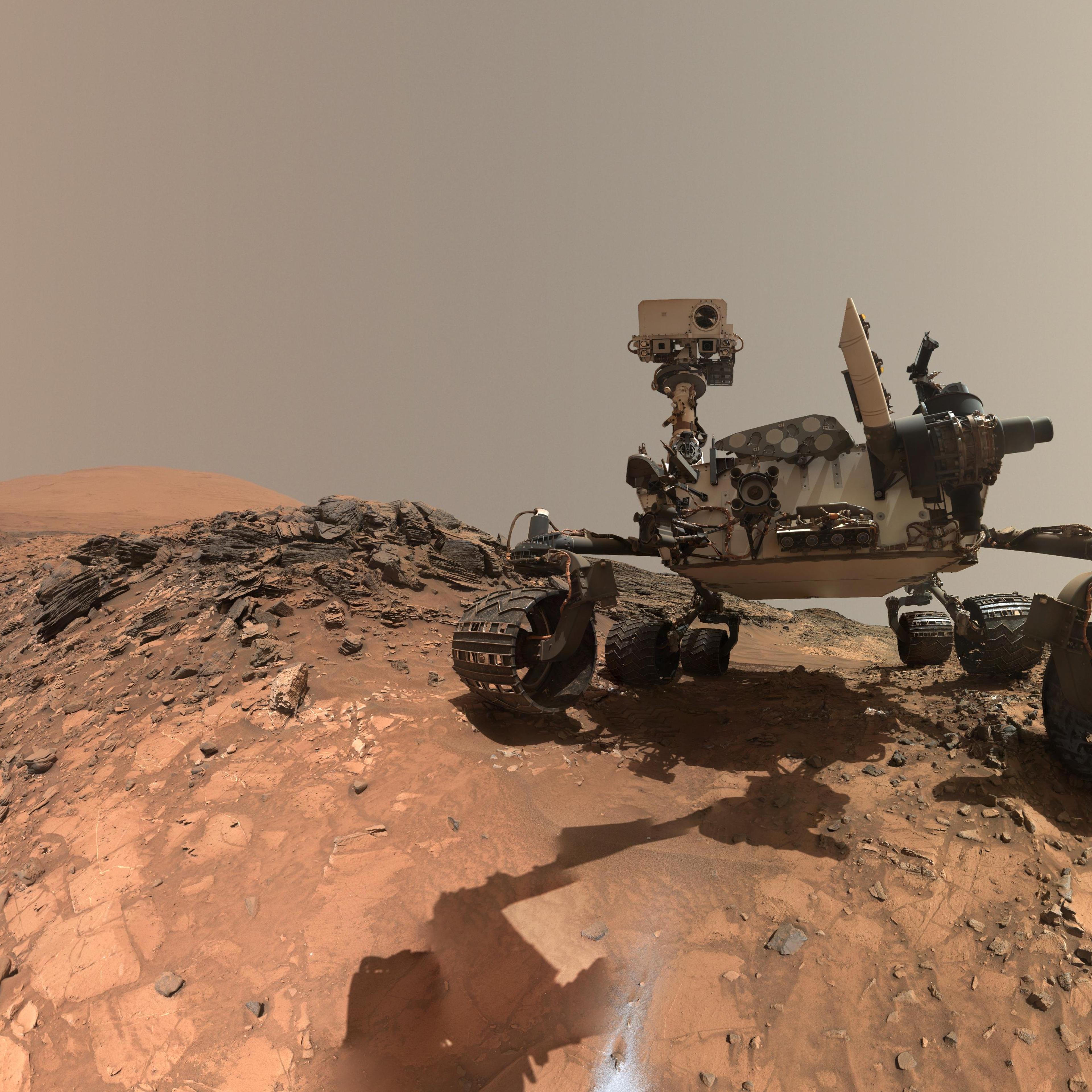 This low-angle self-portrait of NASA's Curiosity Mars rover shows the vehicle at the site from which it reached down to drill into a rock target called 'Buckskin' on lower Mount Sharp.