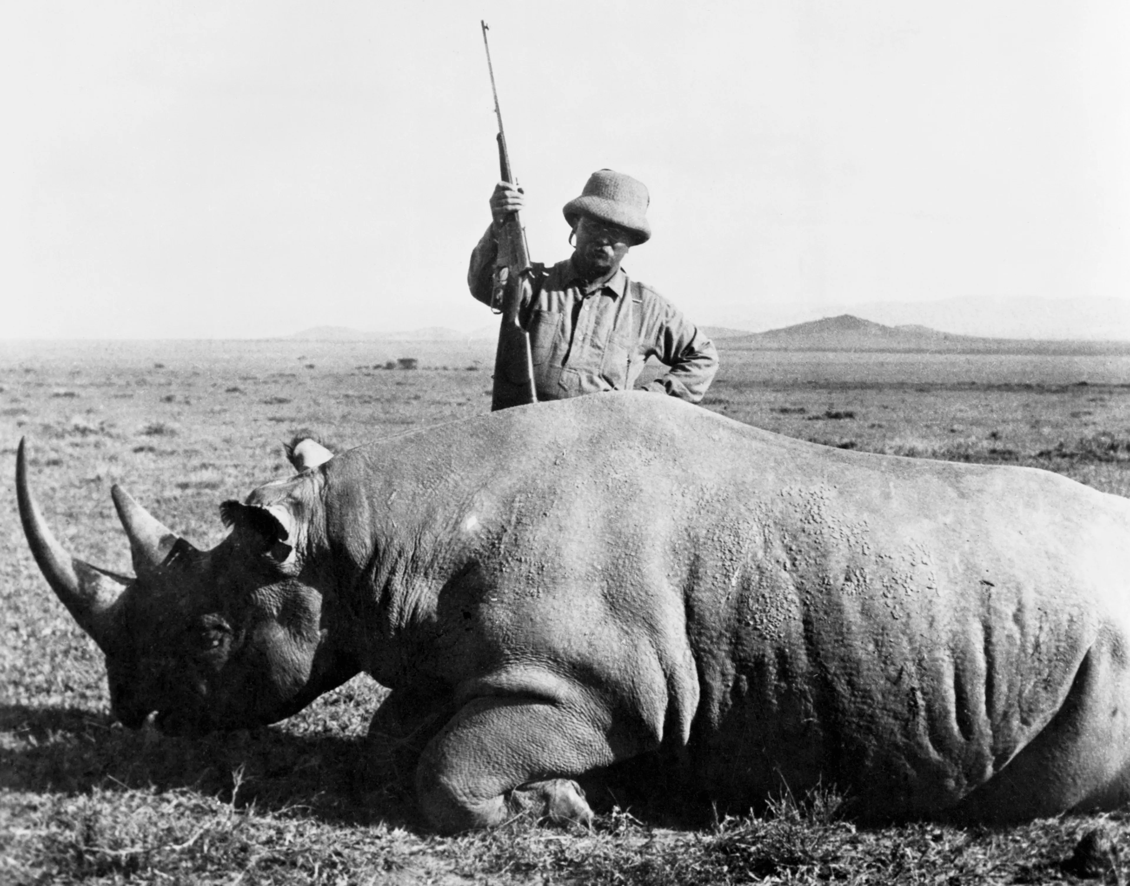 Theodore Roosevelt Dead Rhino