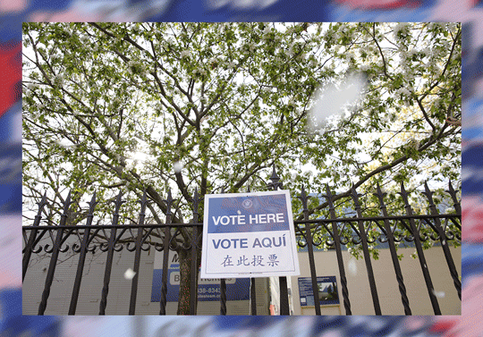 2016 Election, New York Primary