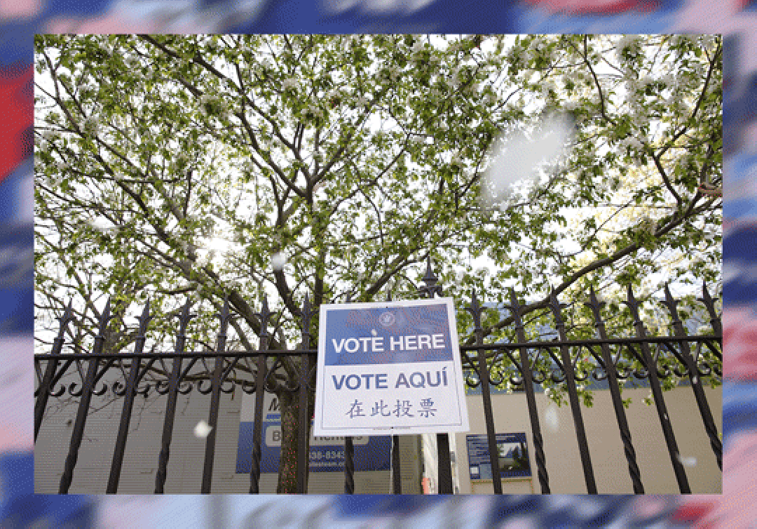 2016 Election, New York Primary