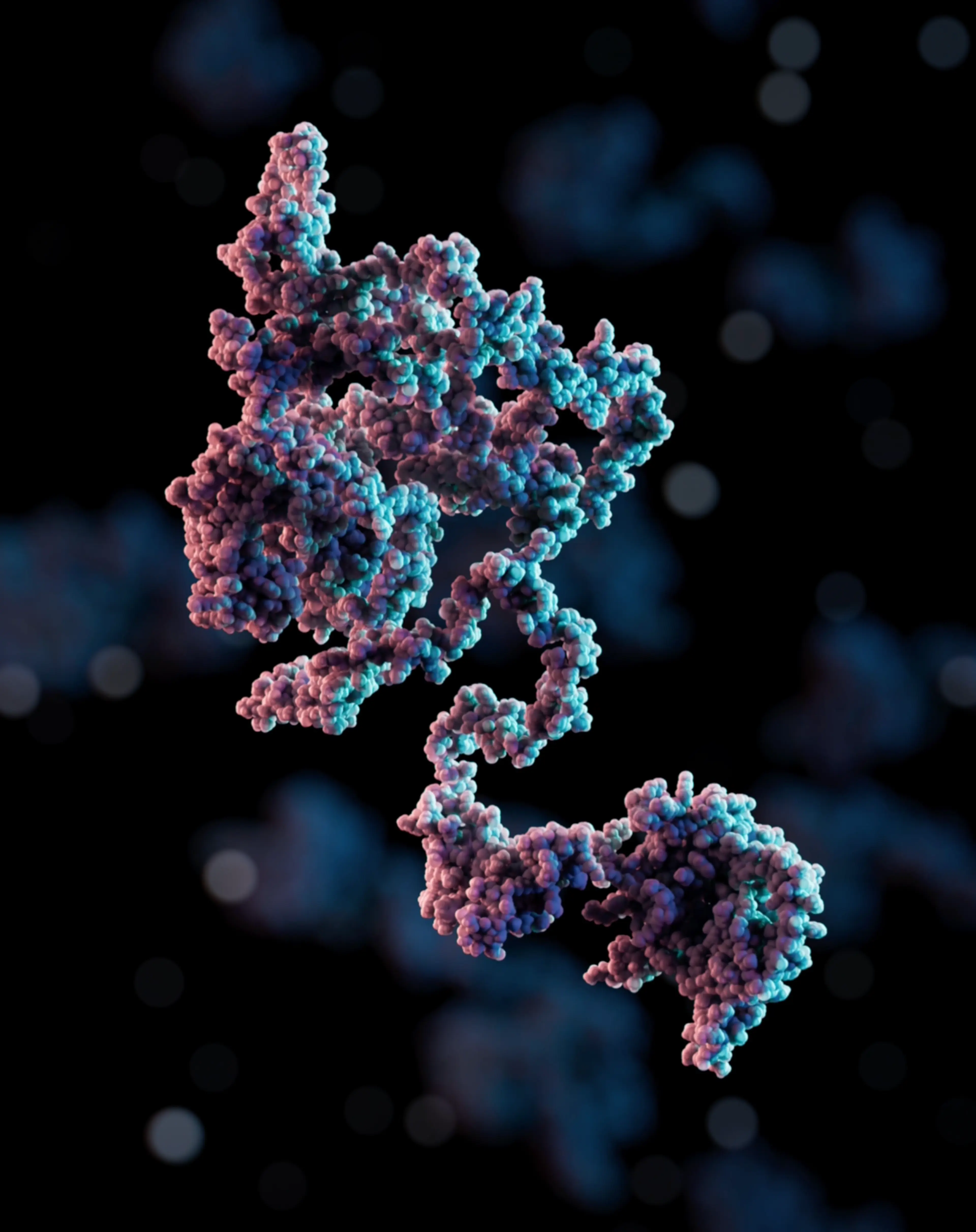3D rendering of dire wolf LCORL gene