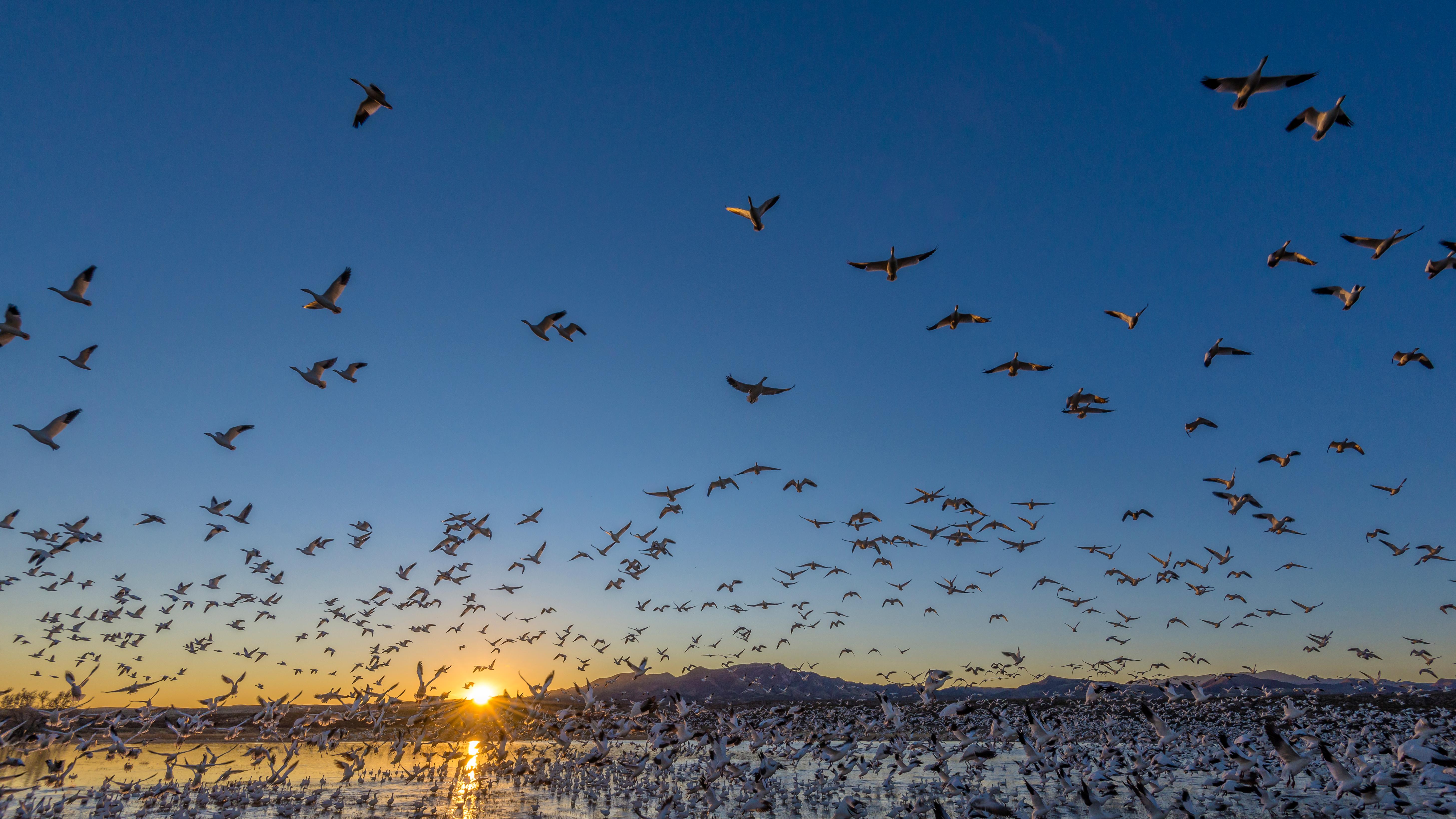What a Record Hunting and Fishing Expansion Means for America’s Wildlife Refuges