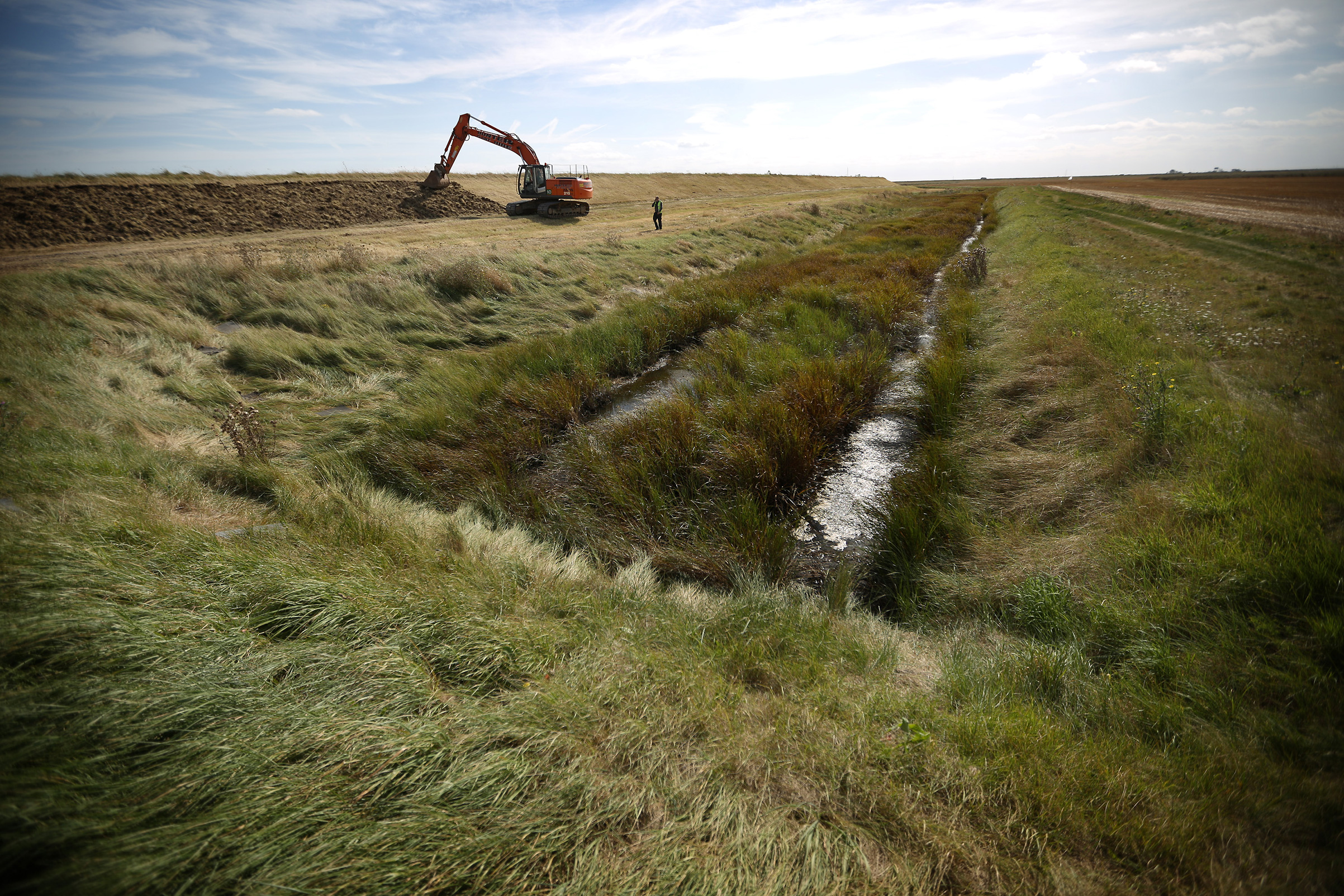 A project to build a network of salt marshes, grasslands and lagoons on Wallasea Island on England’s eastern coast is due for completion in October