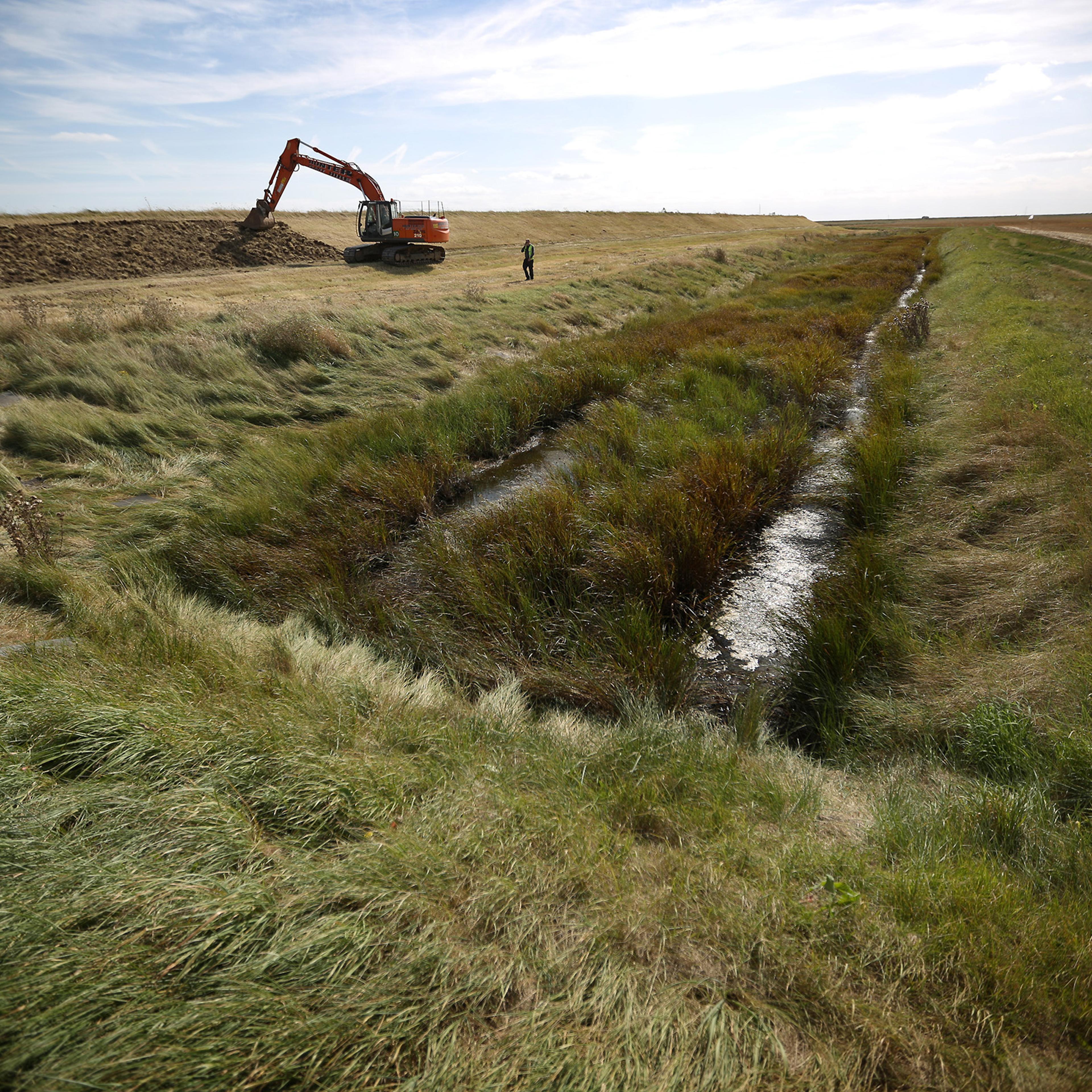 A project to build a network of salt marshes, grasslands and lagoons on Wallasea Island on England’s eastern coast is due for completion in October