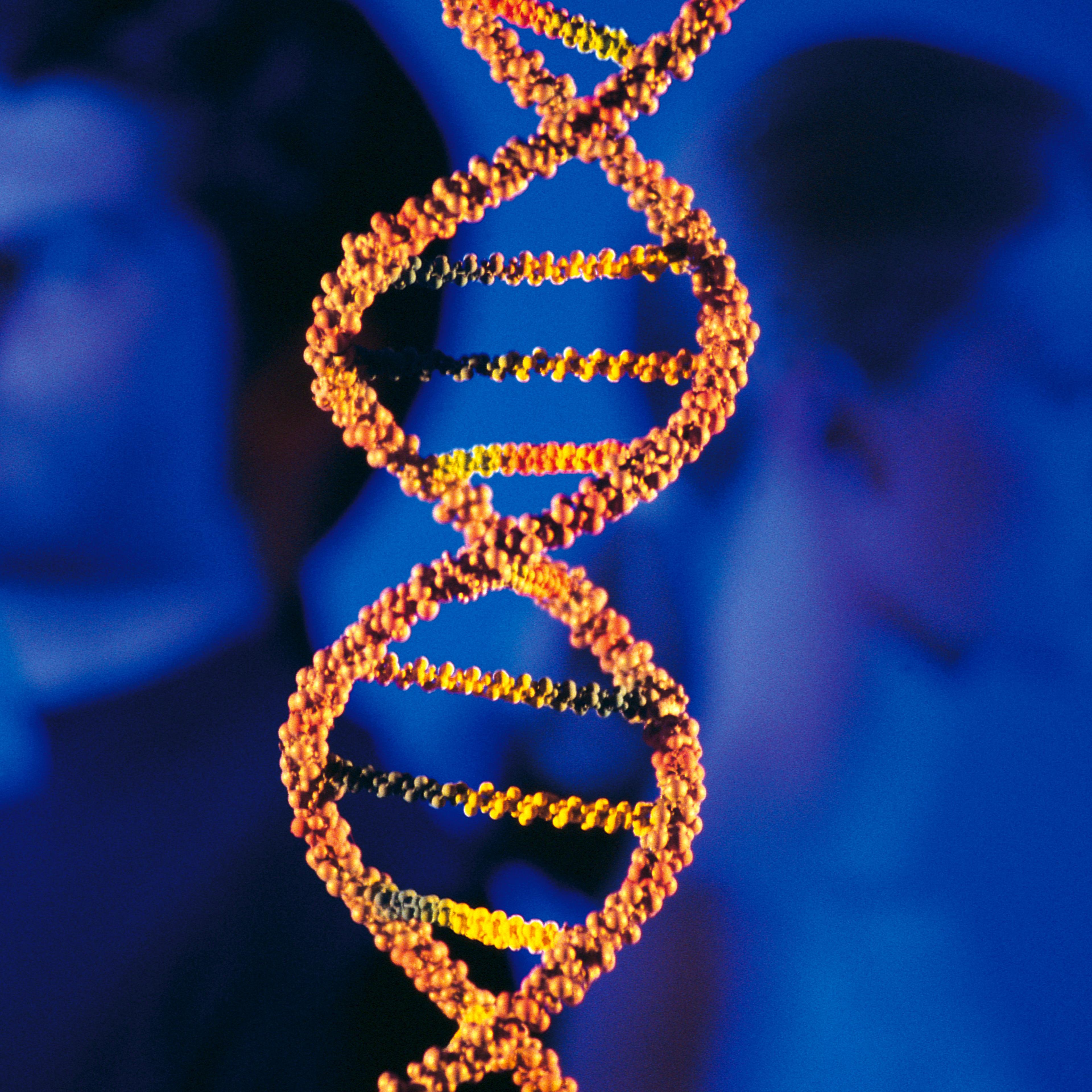 DNA helix with man and woman back-to-back in background