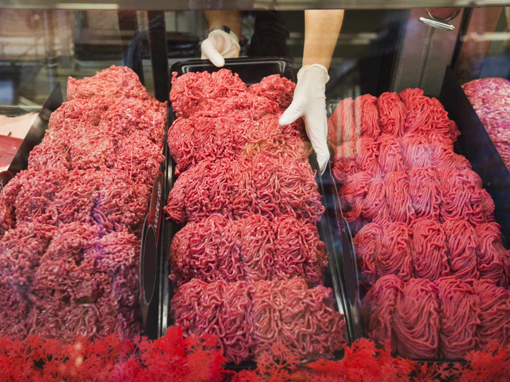 salmonella ground beef