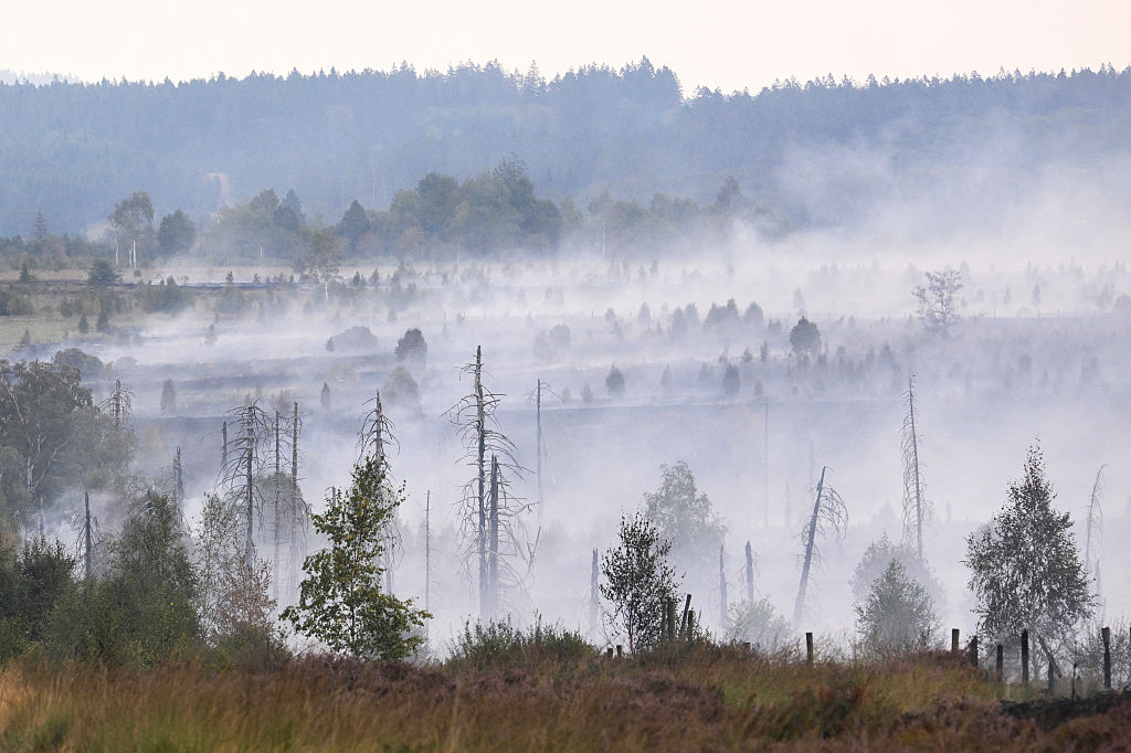 In Europe, Today's Children Will Live Through Nearly Twice as Many Fire Weather Days Than Their Grandparents