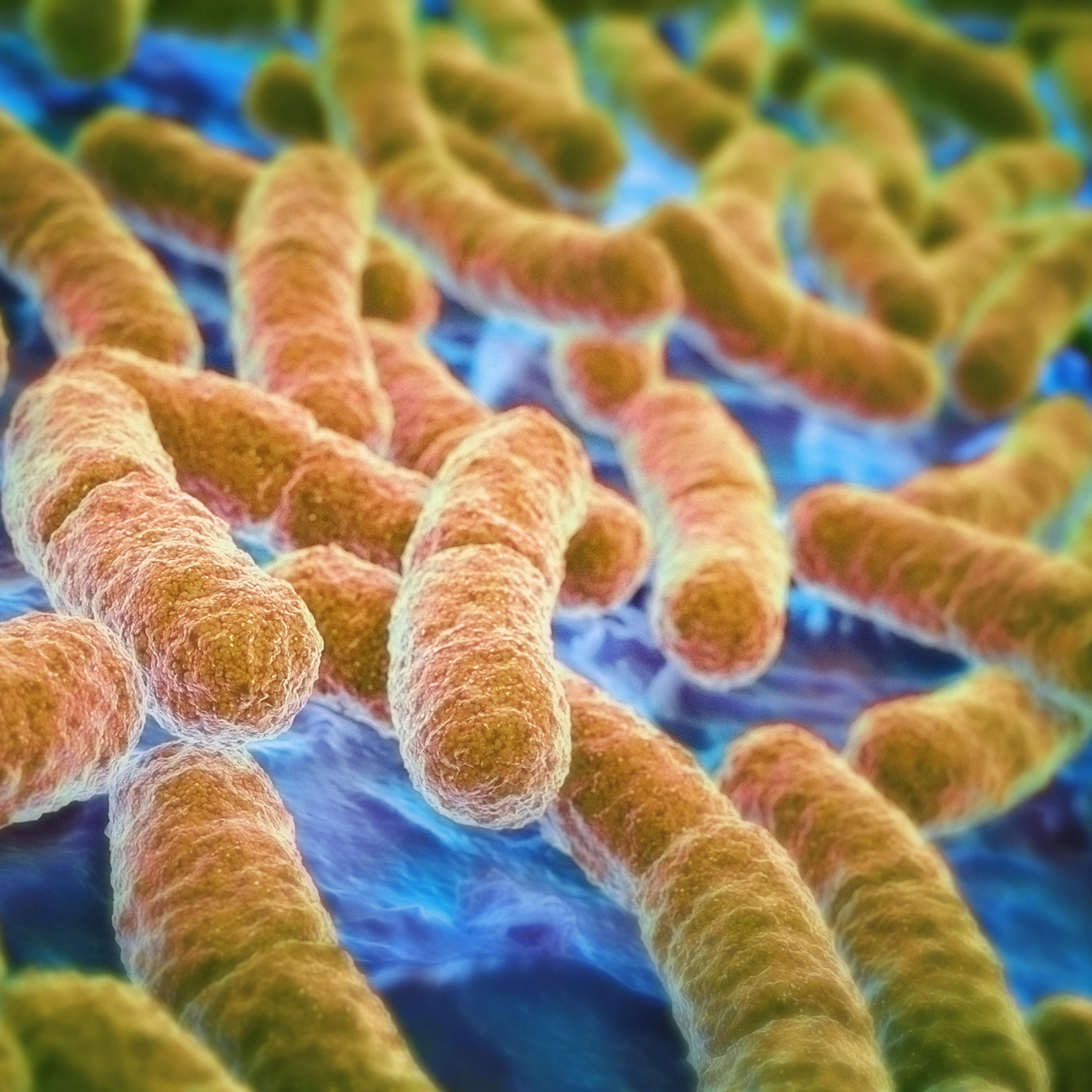 E Coli