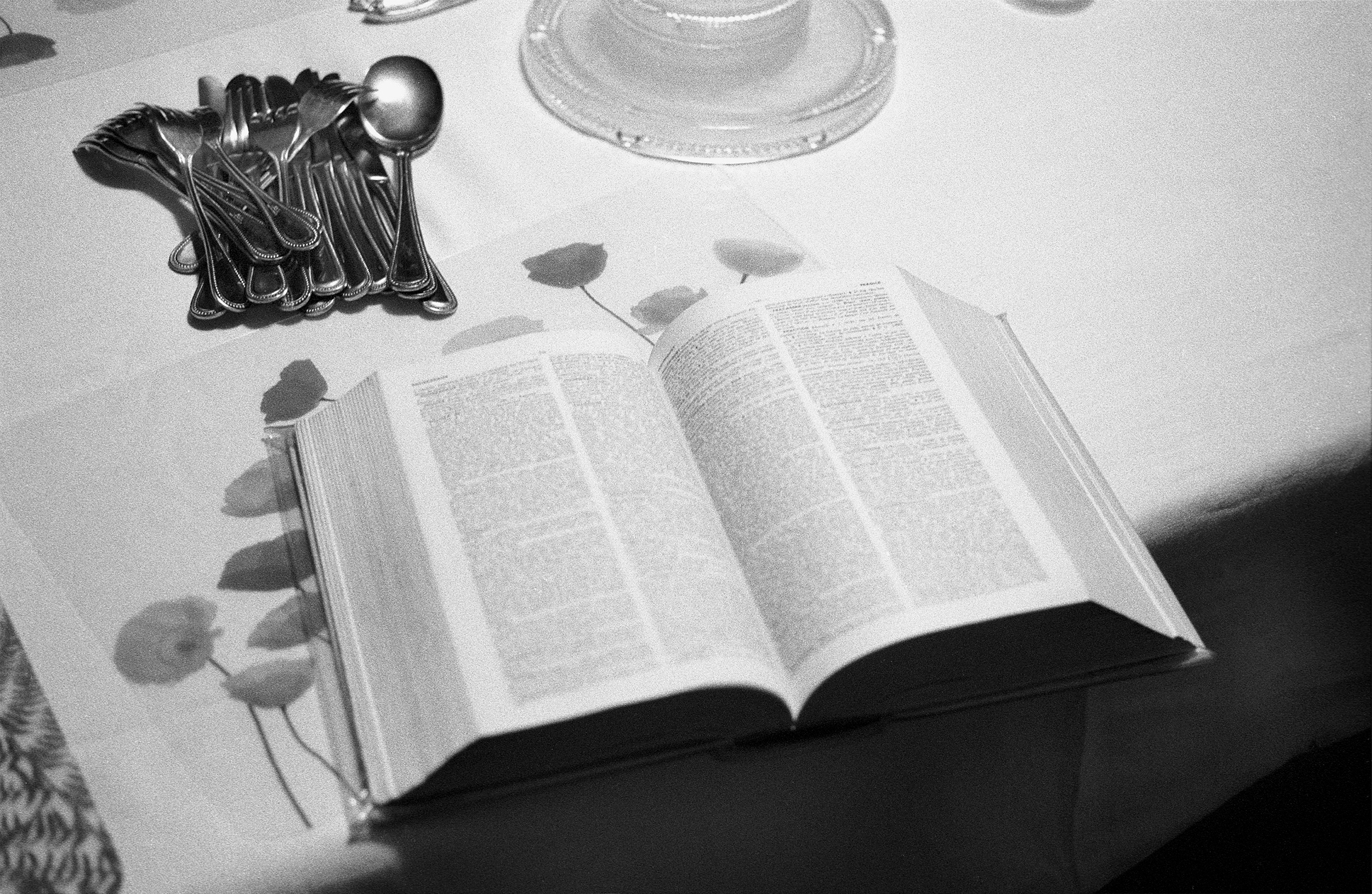 Open dictionary on table