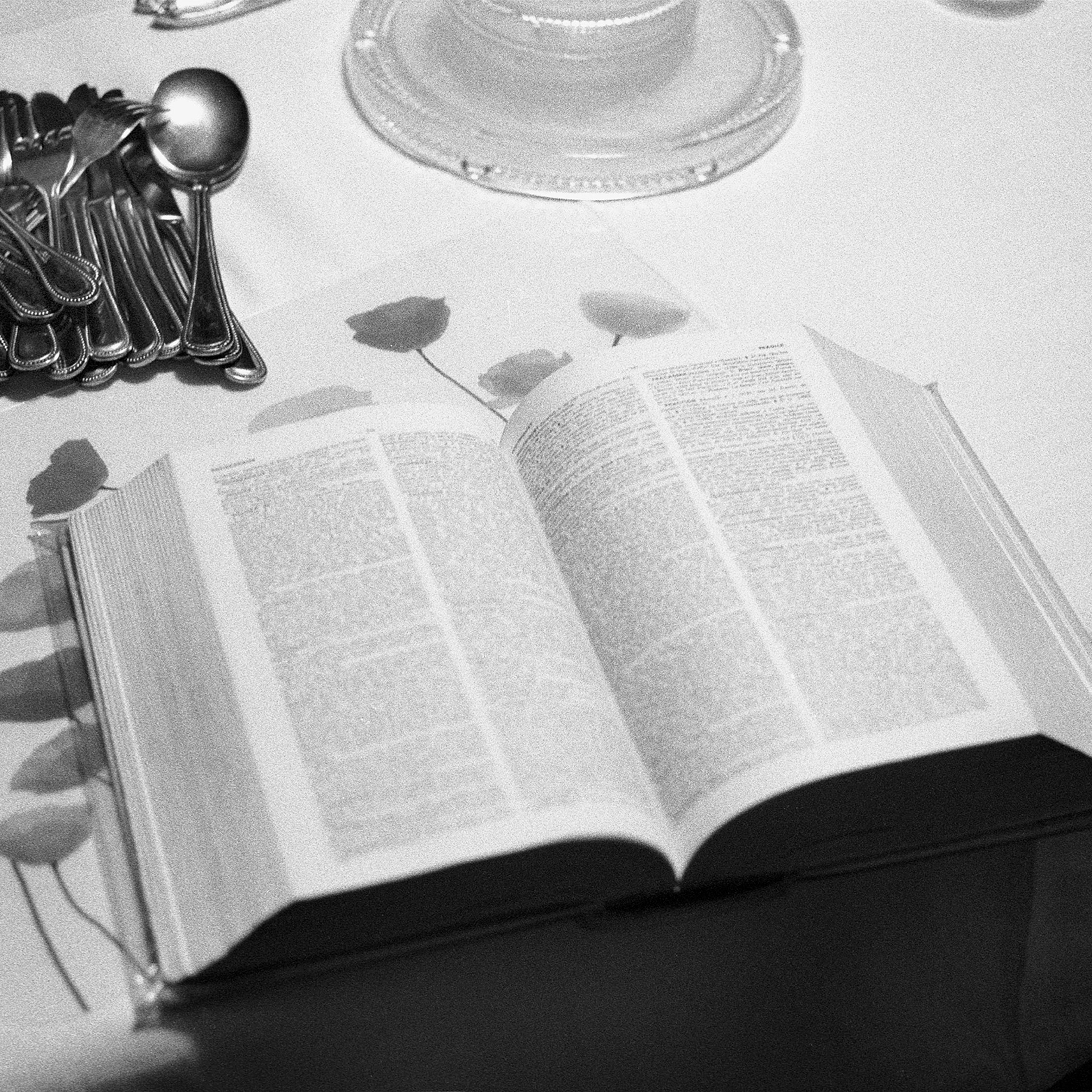 Open dictionary on table