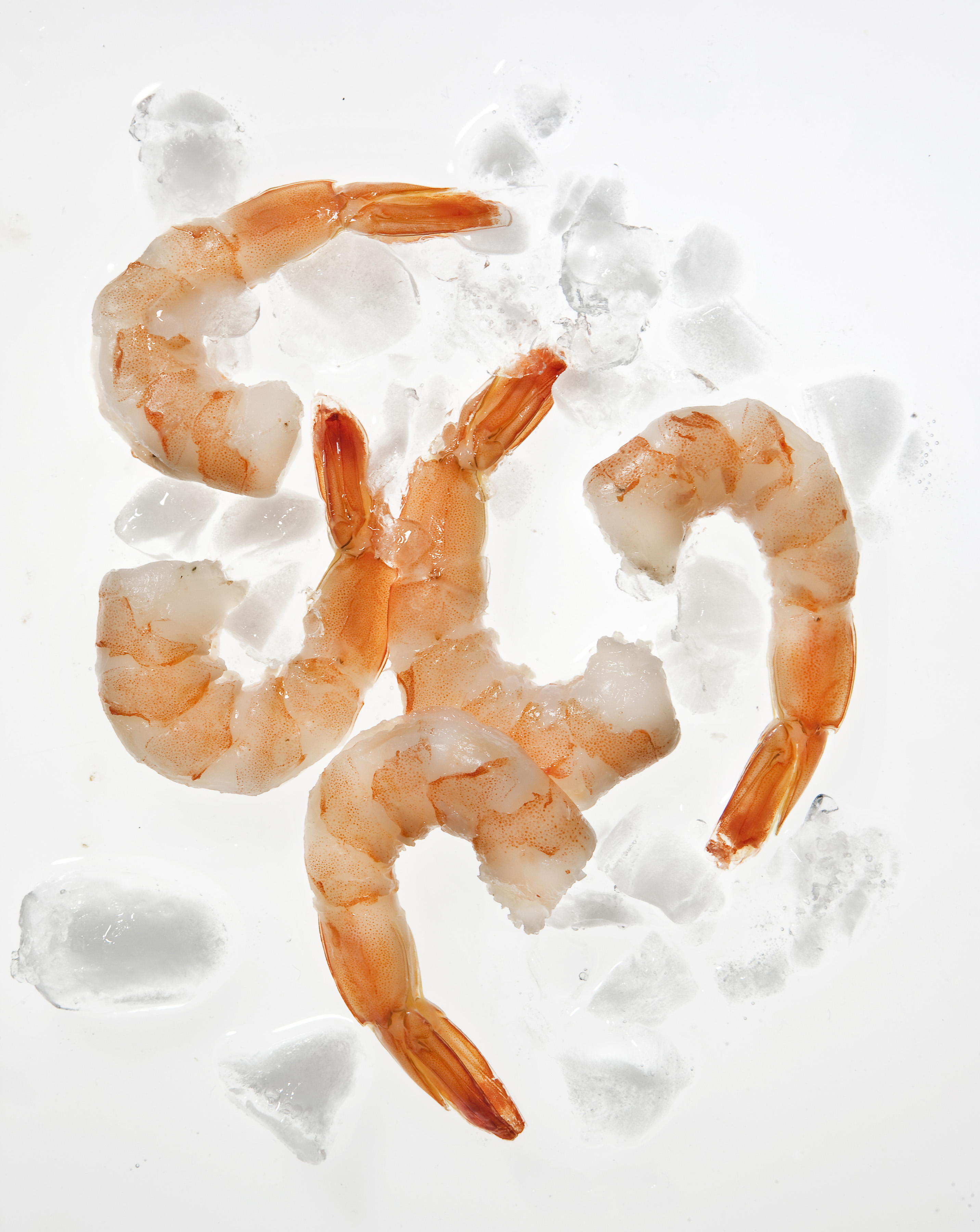 Shrimp
