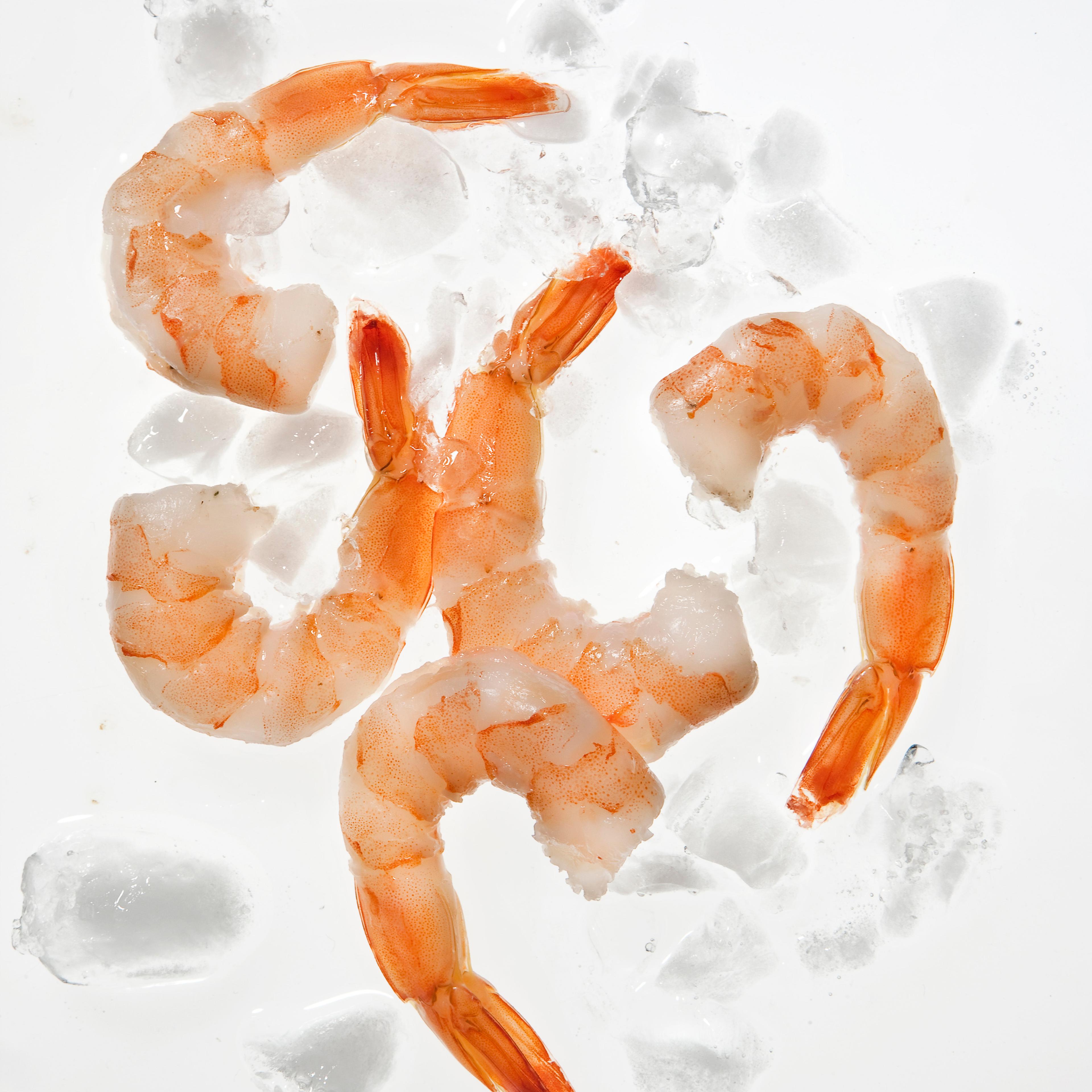Shrimp