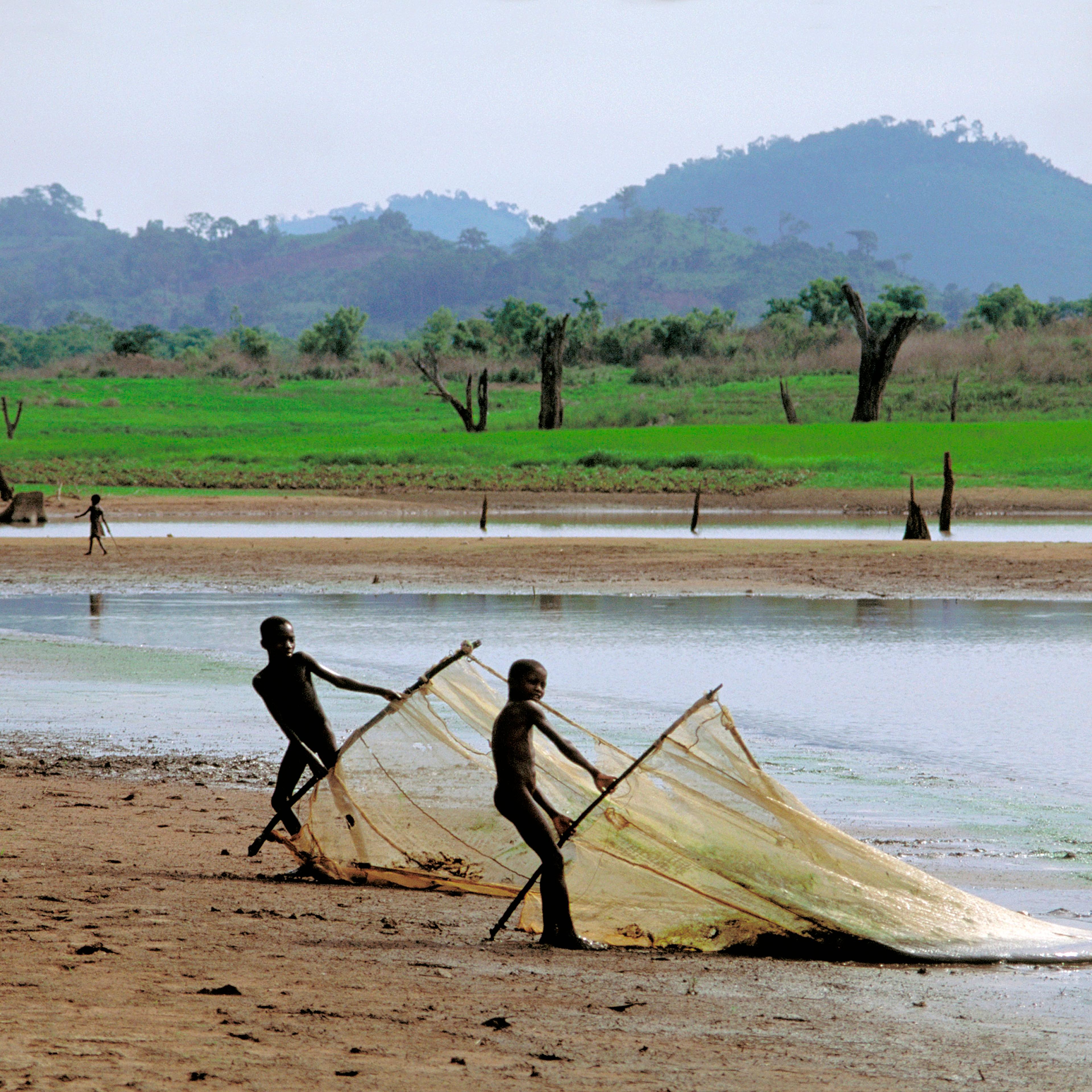 Boys Fishing, Ghana