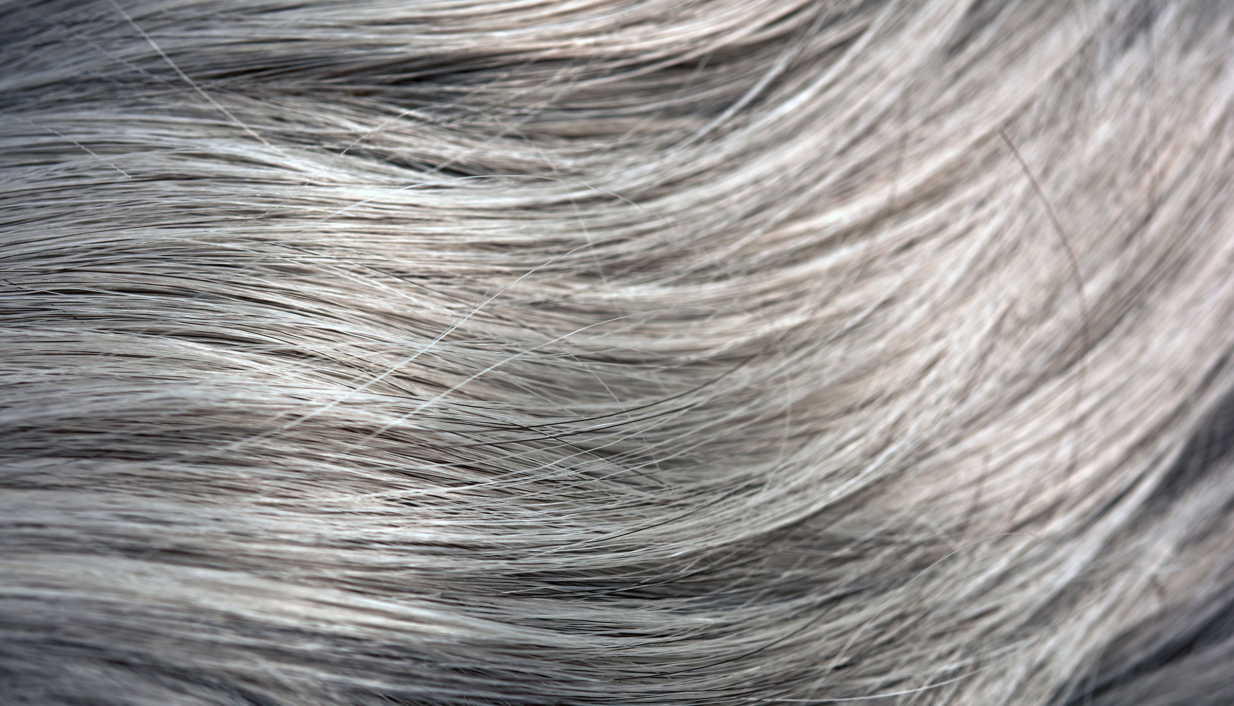 straight gray hair